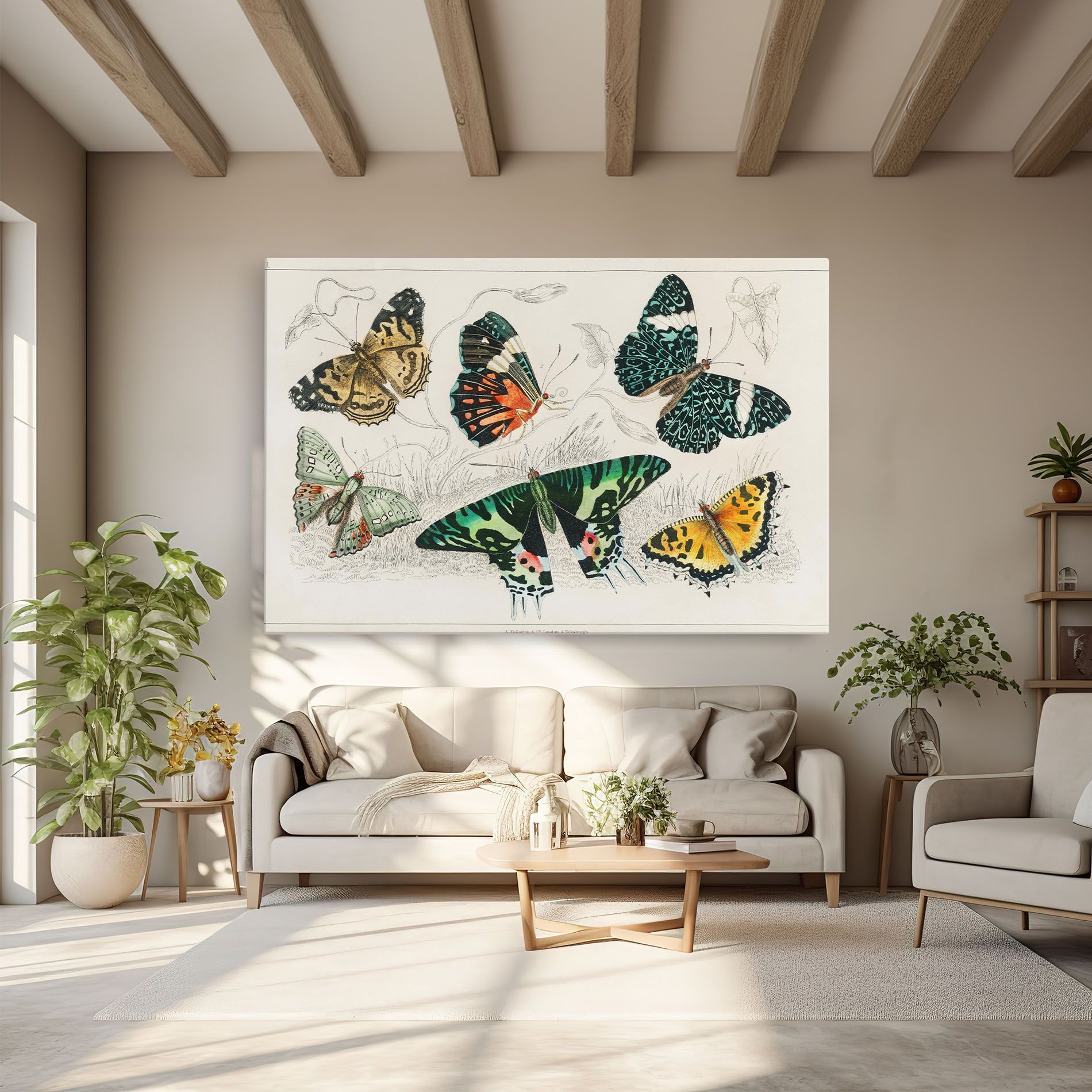 Butterfly Art mockup 6