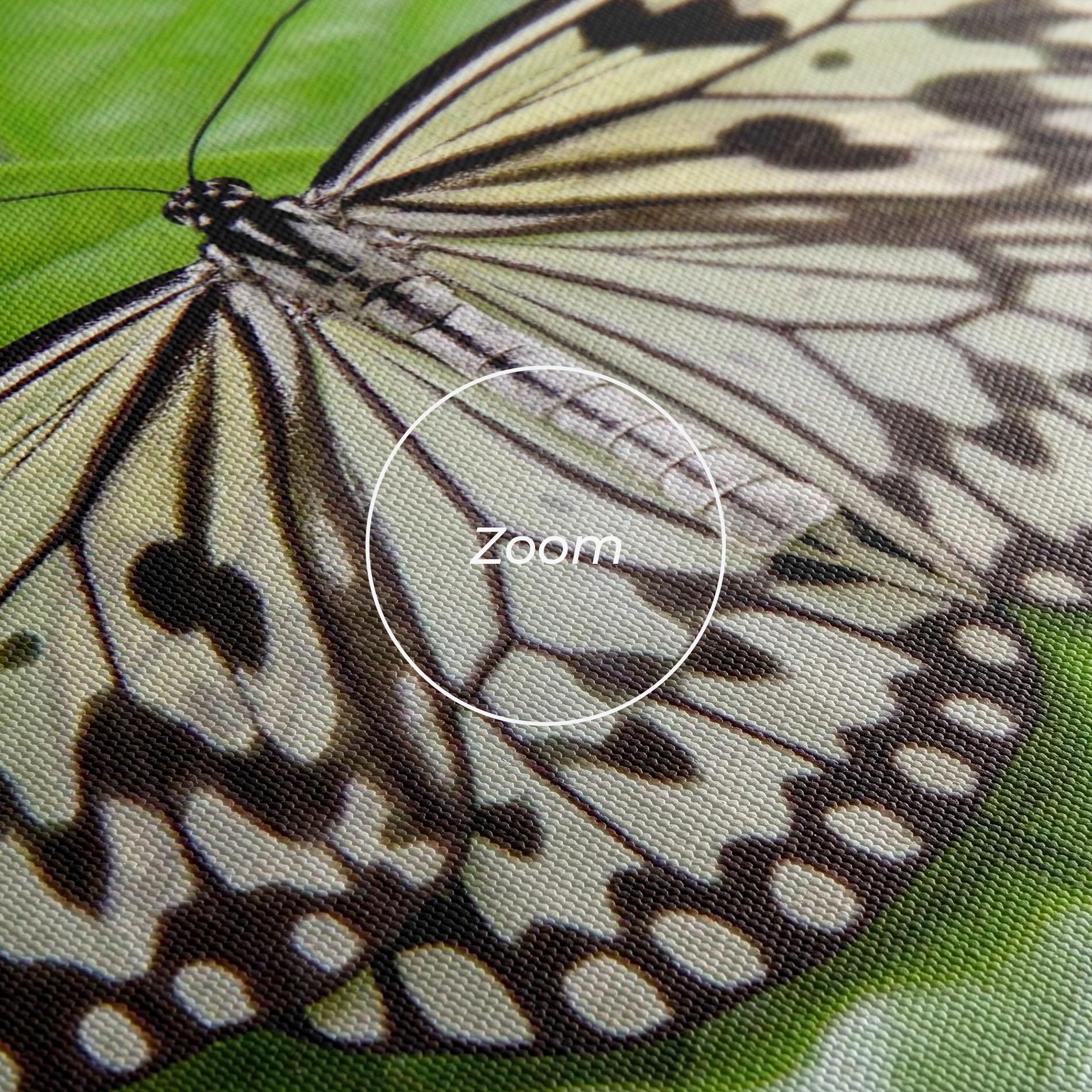 Картина на платно Beautiful White Butterfly mockup 3