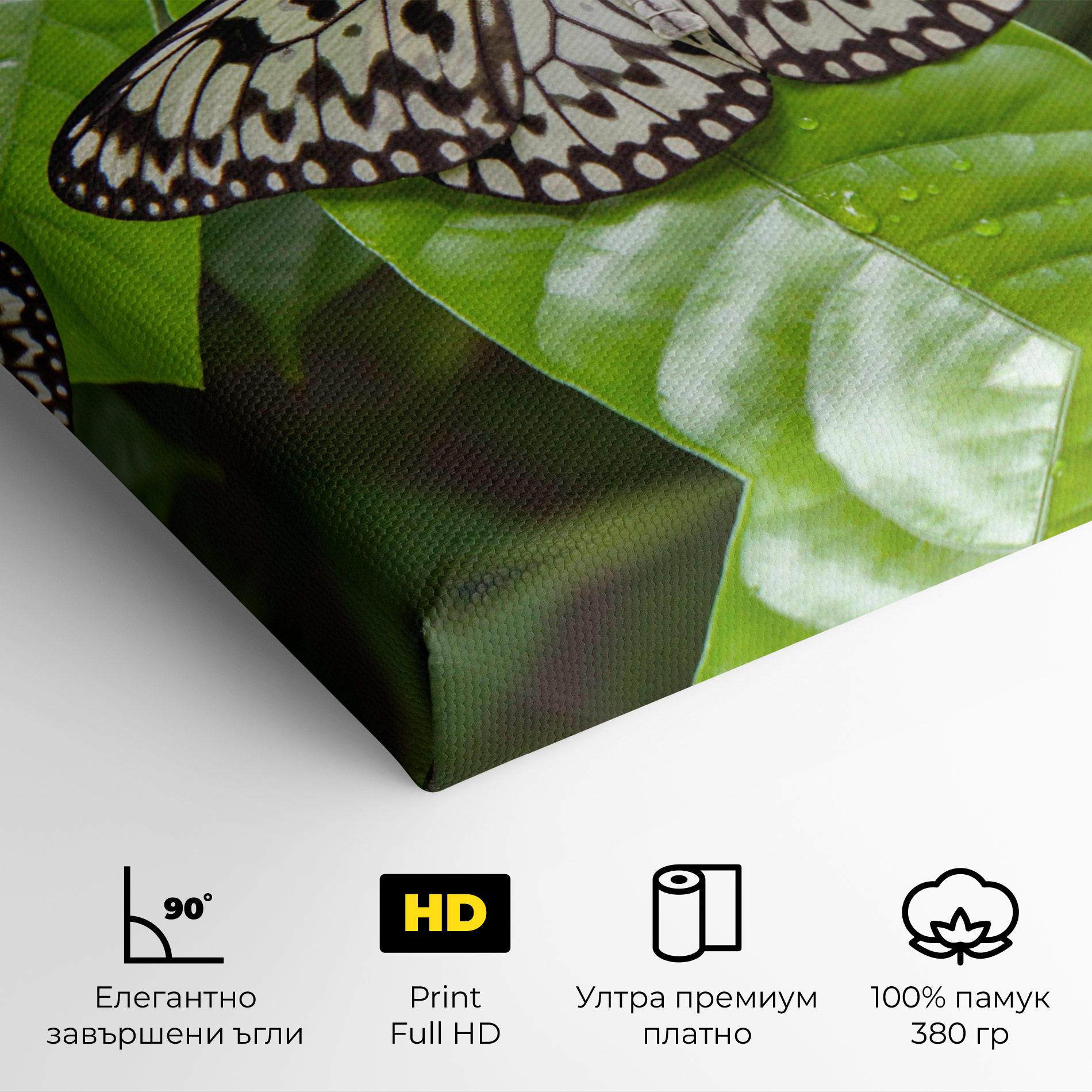 Картина на платно Beautiful White Butterfly mockup 4