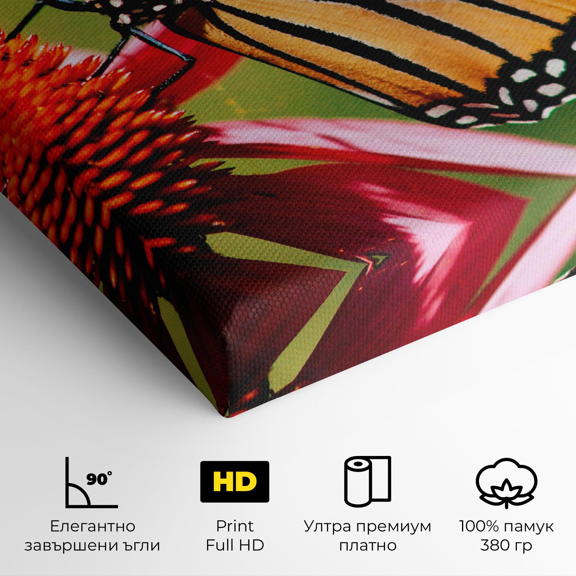 Картина на платно Big Orange Butterfly mockup 4