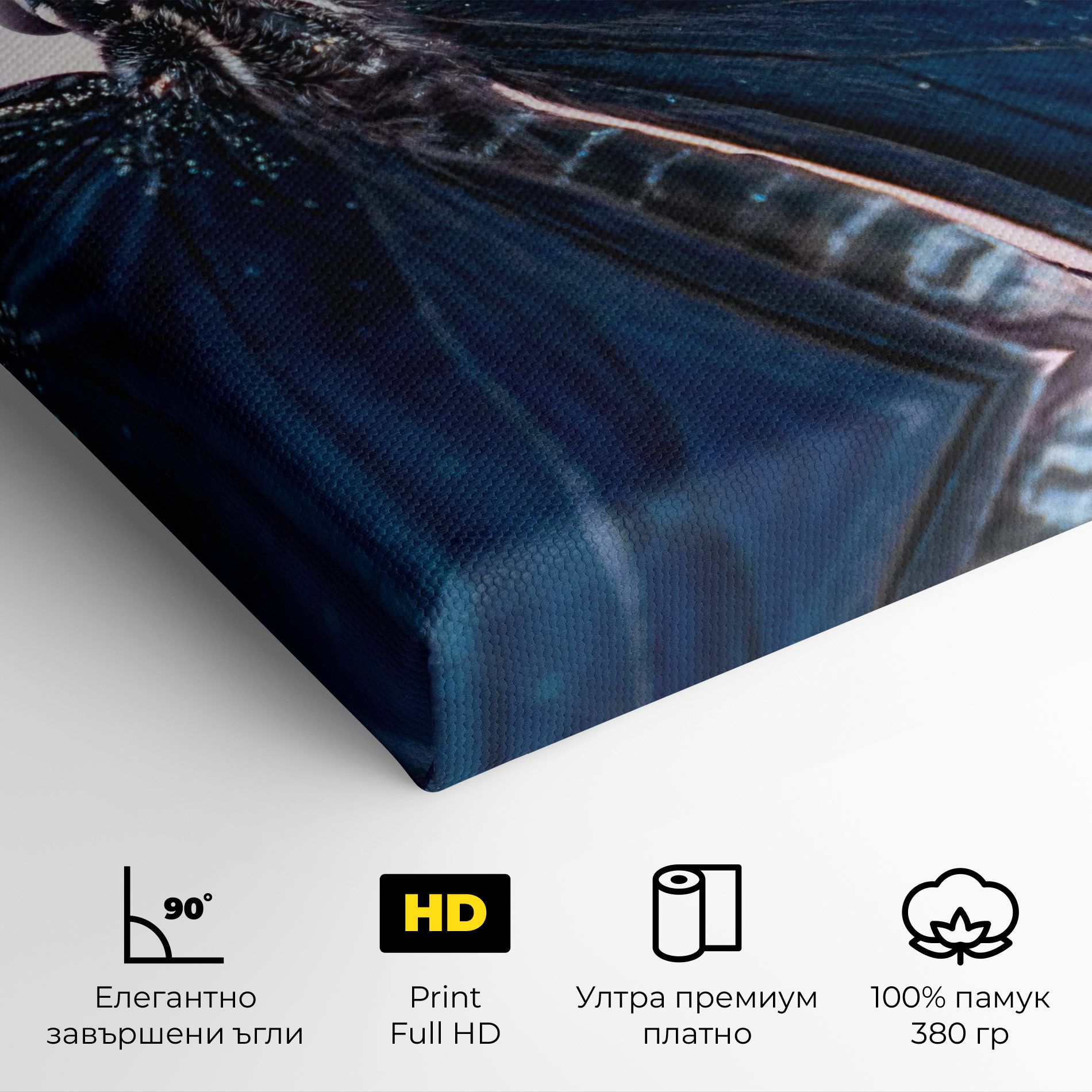 Blue Butterfly mockup 4