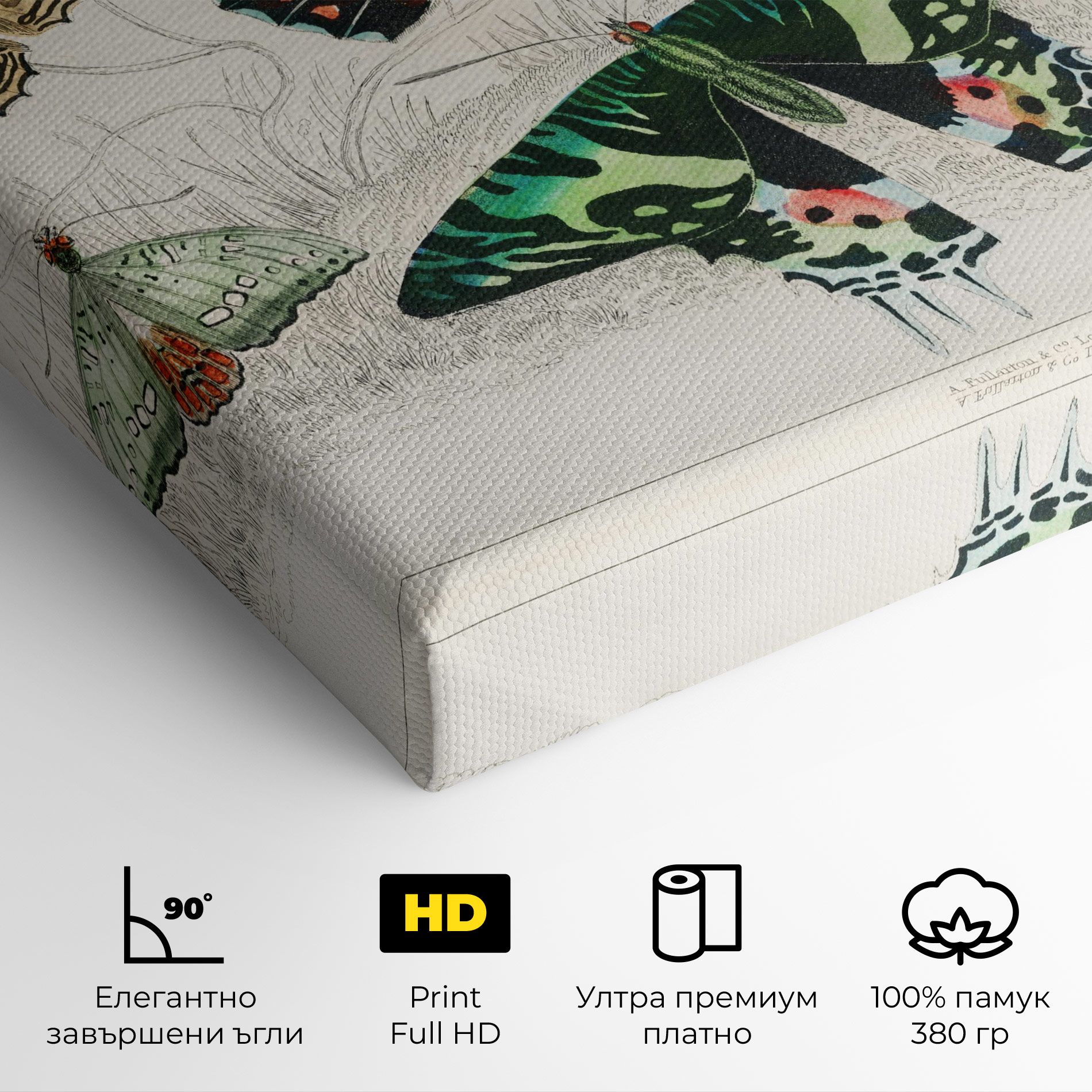 Butterfly Art mockup 4