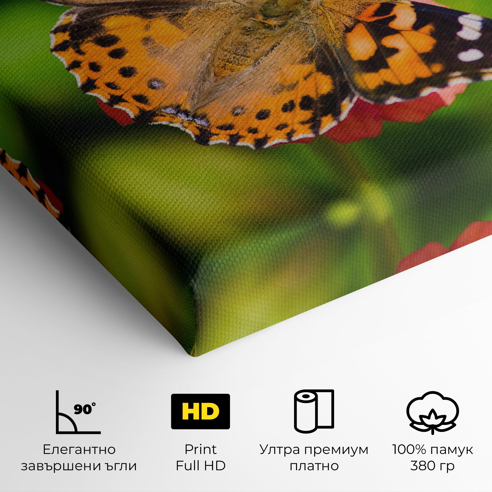 Картина на платно Butterfly On Flower mockup 4