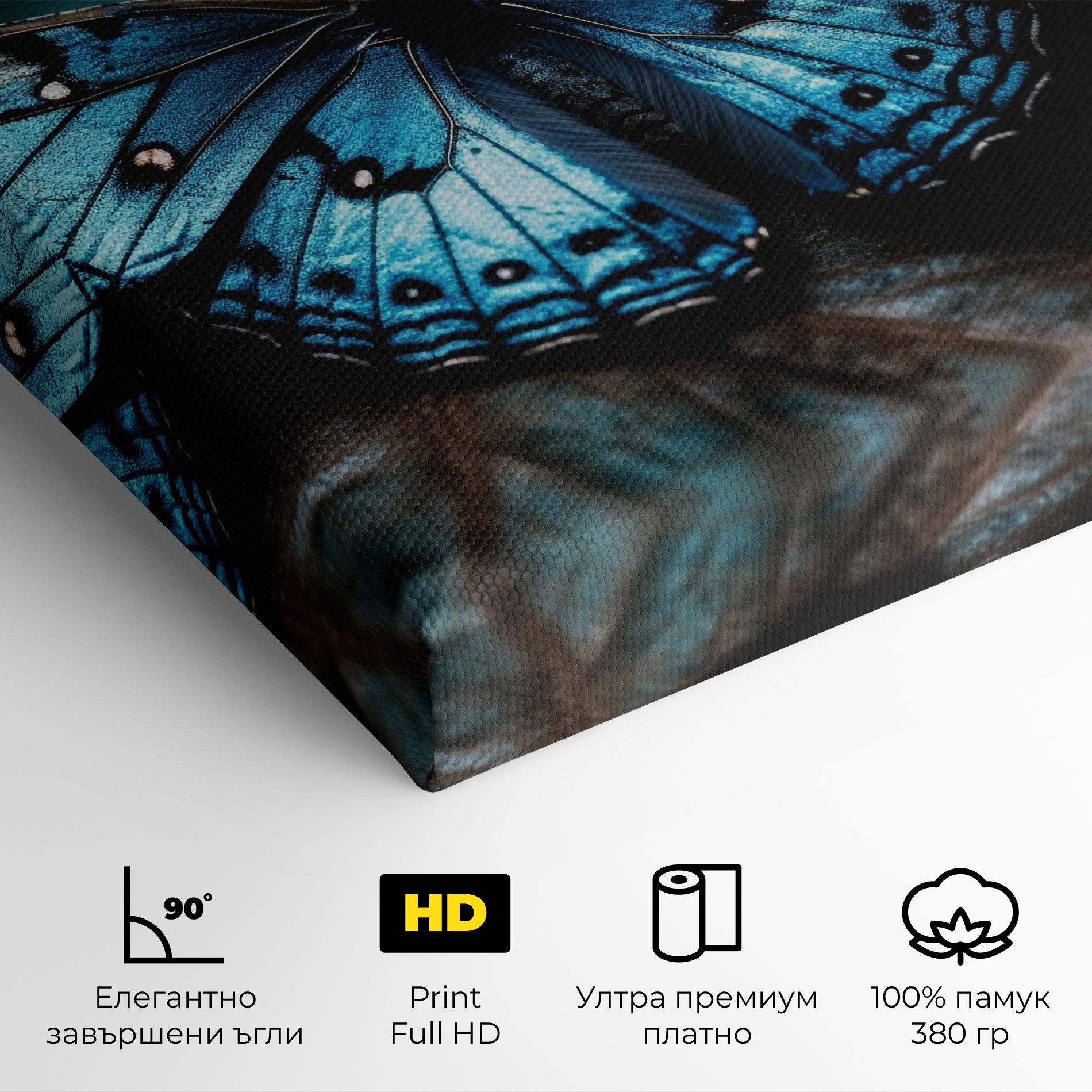 Dark Blue Buterfly mockup 4