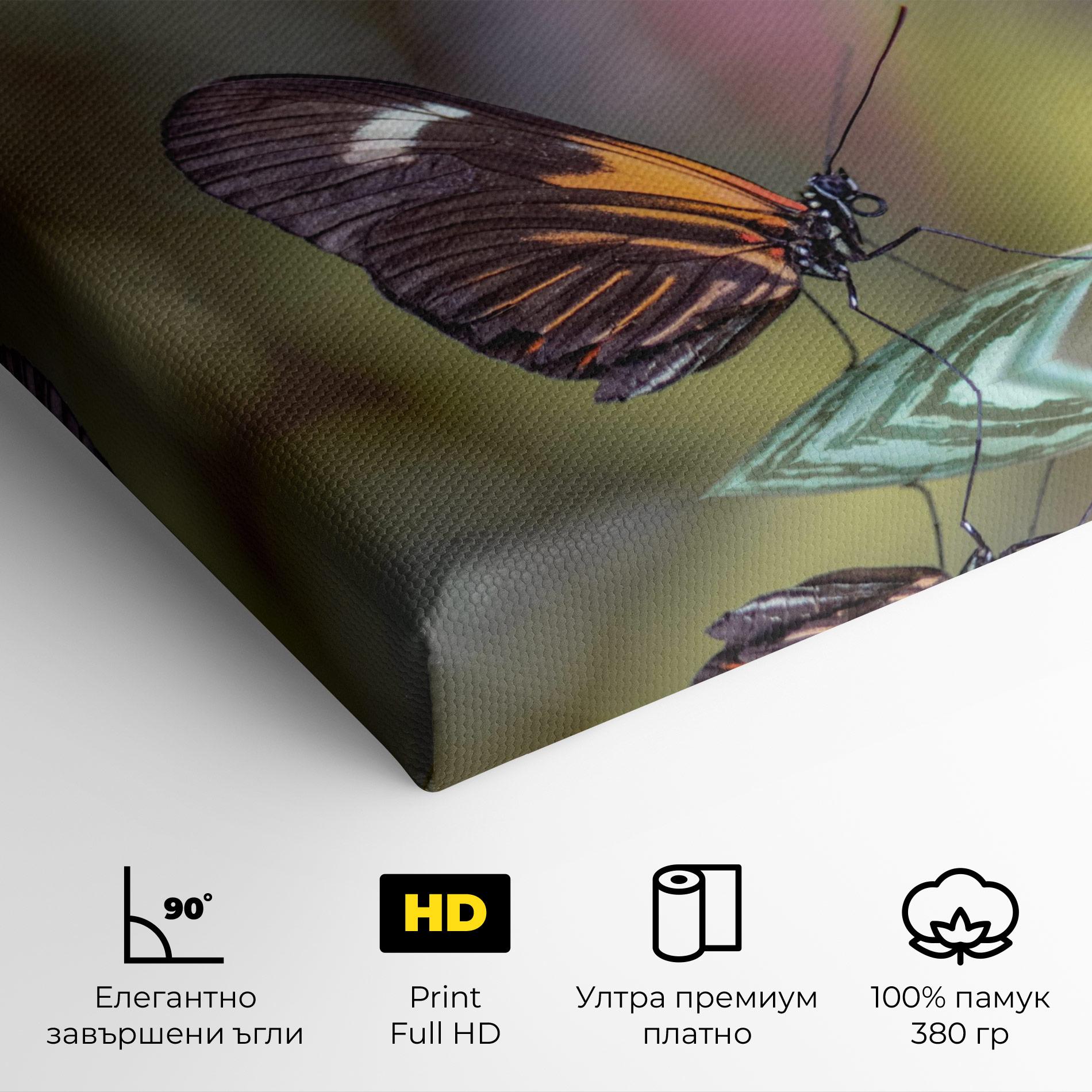 Картина на платно Dark Purple Butterfly mockup 4