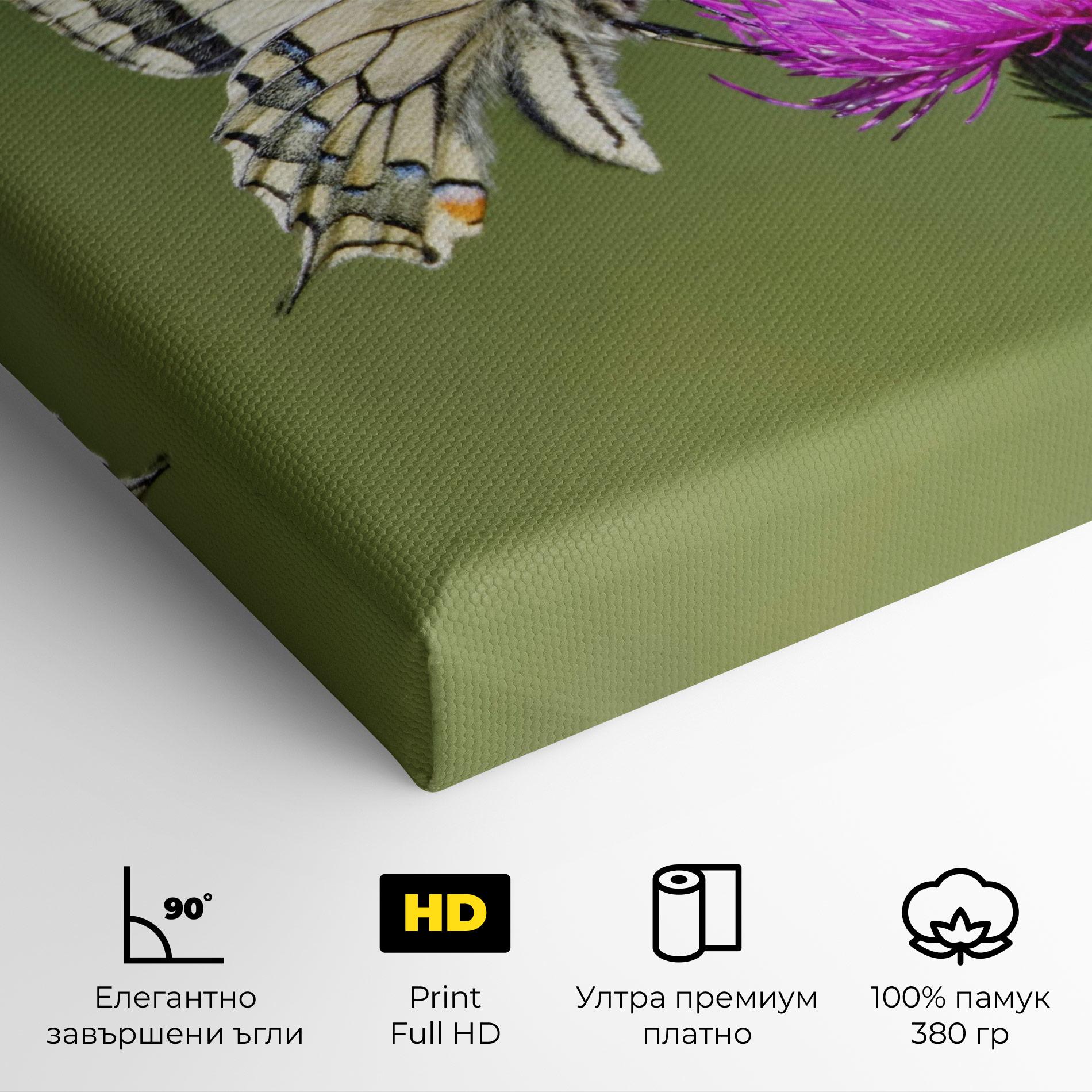Картина на платно White Butterfly Pollen mockup 4