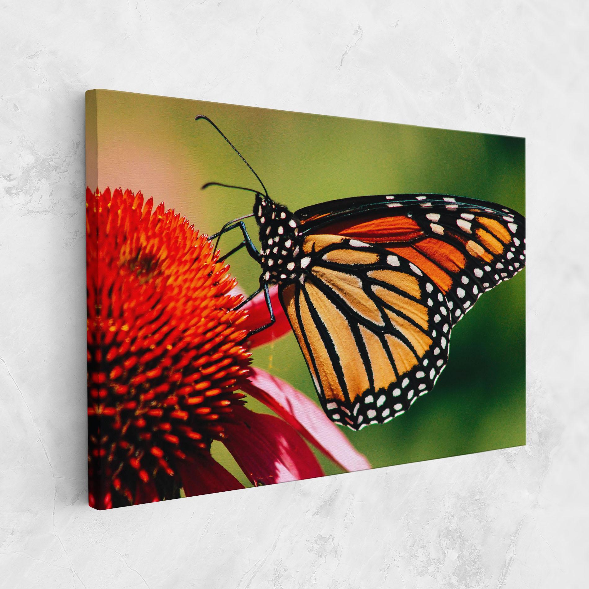 Картина на платно Big Orange Butterfly mockup 1