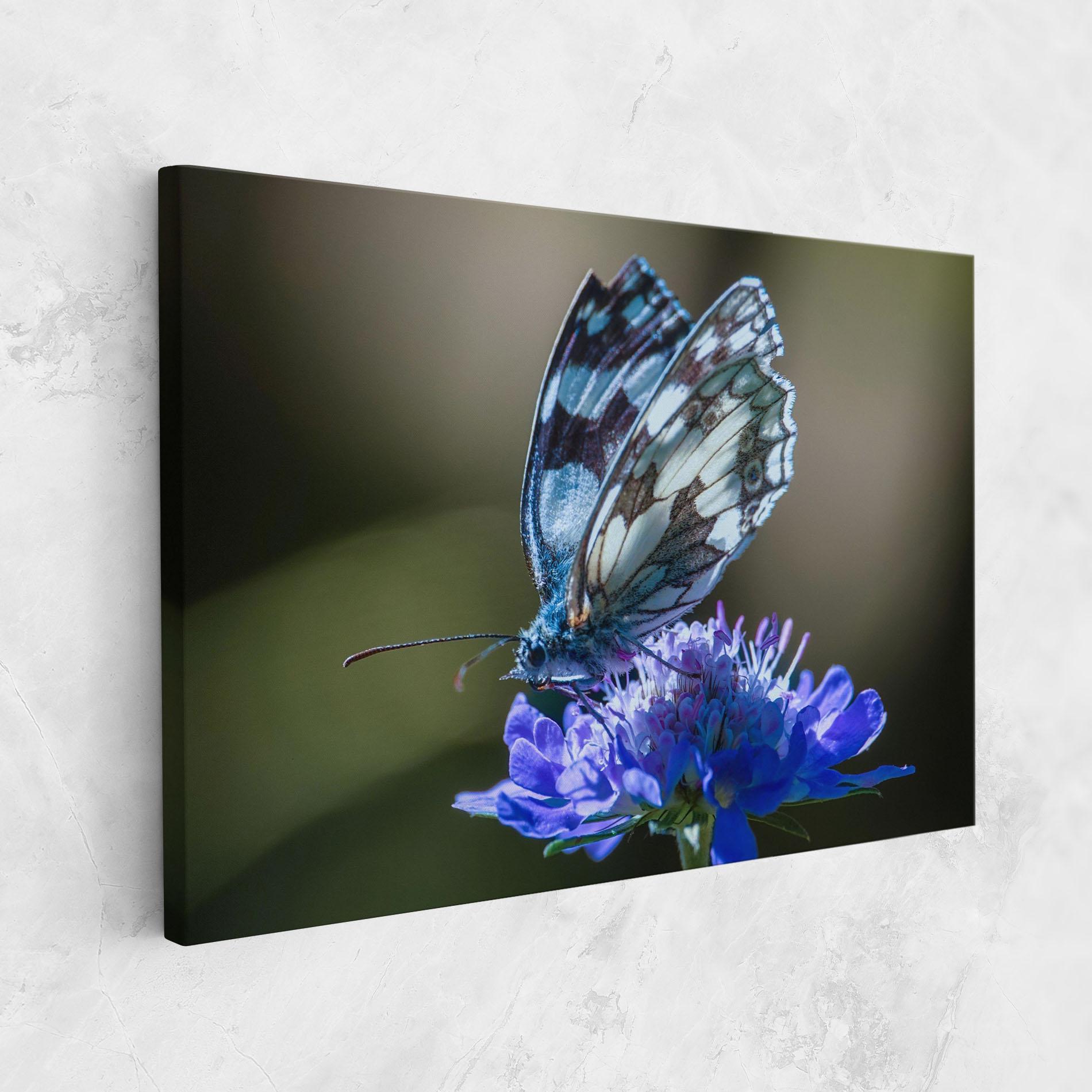 Картина на платно Blue Butterfly In Nature mockup 1