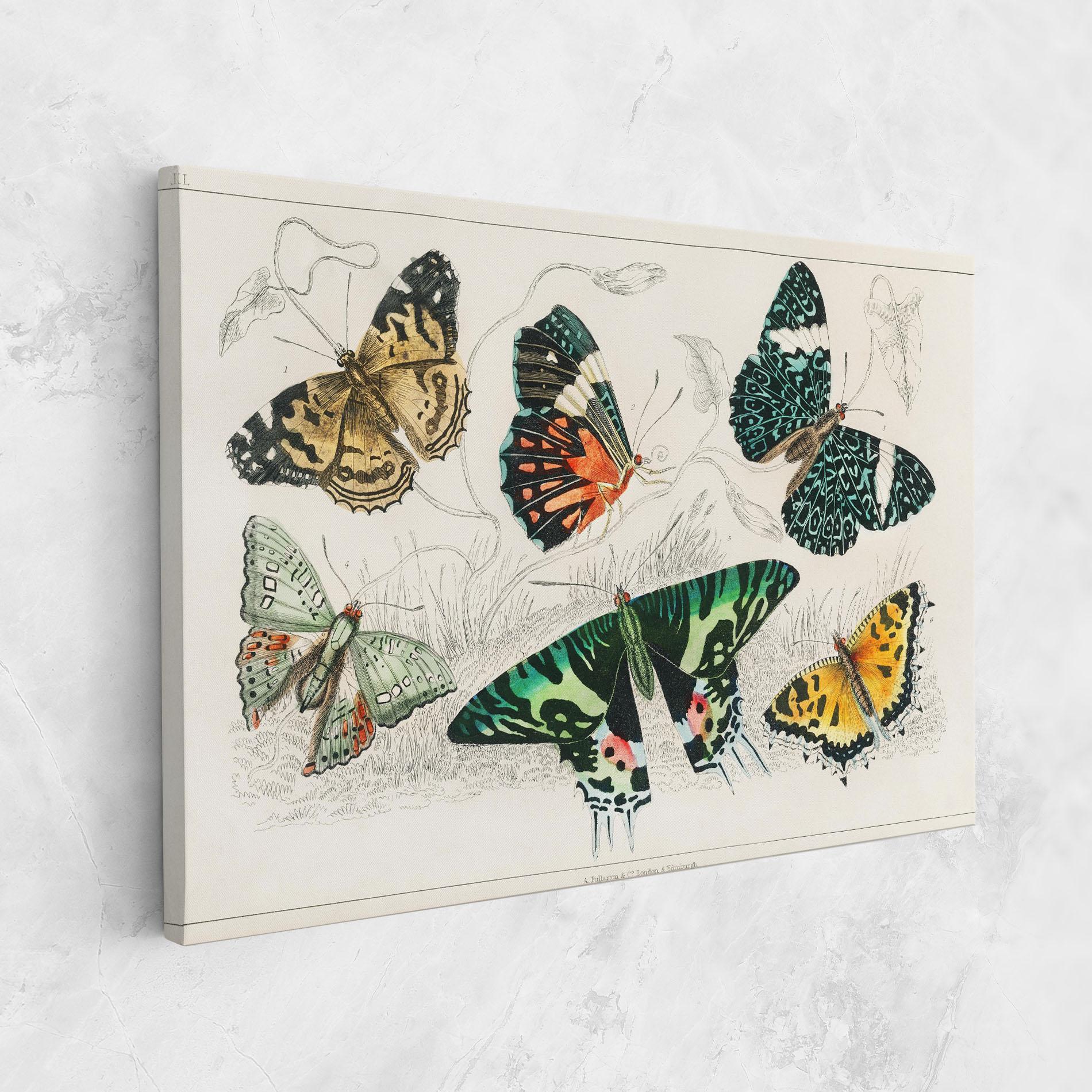 Картина на платно Butterfly Art mockup 1