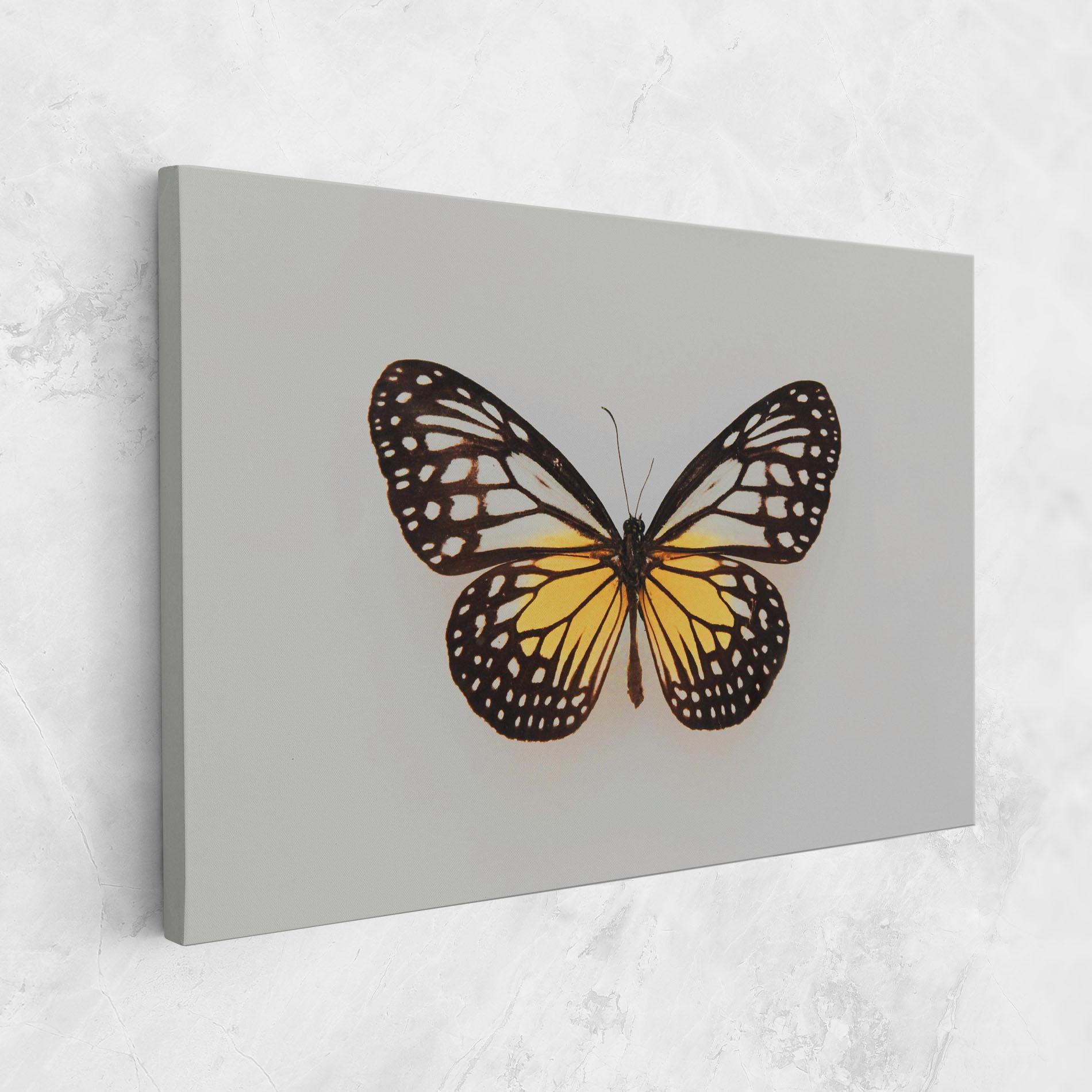 Картина на платно Butterfly On Grey mockup 1