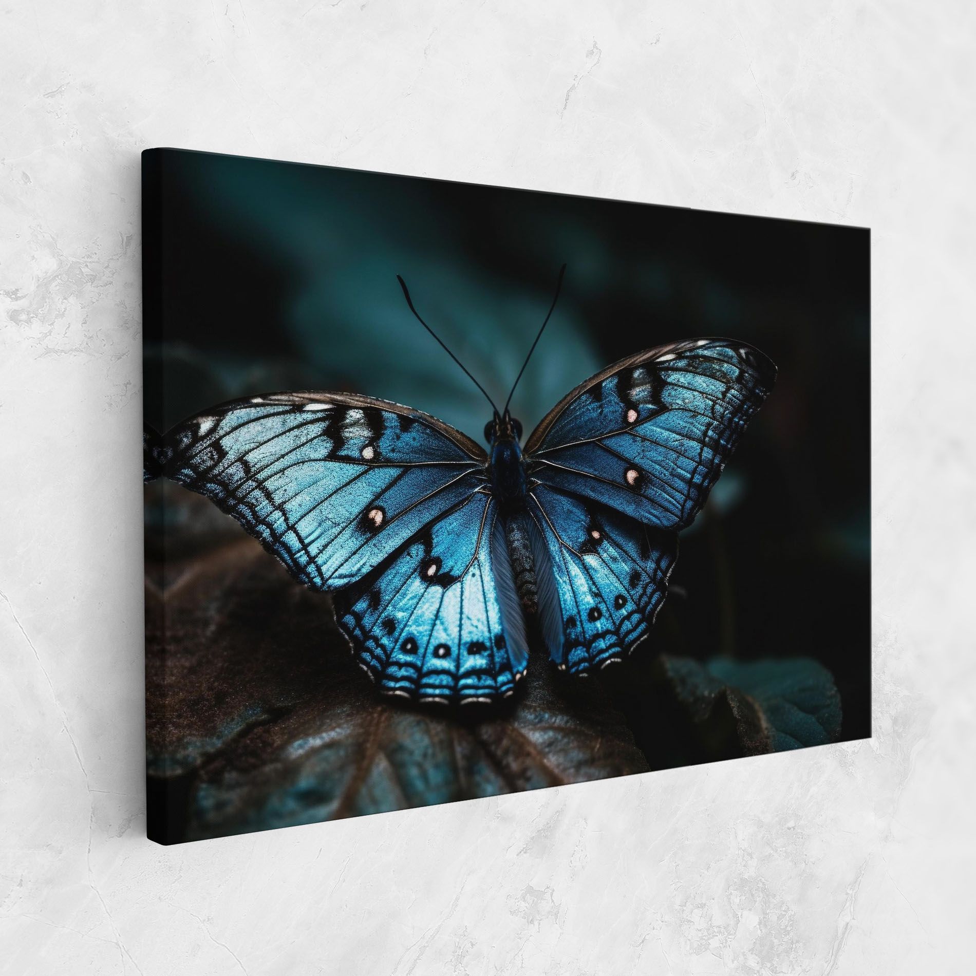 Dark Blue Buterfly mockup 1