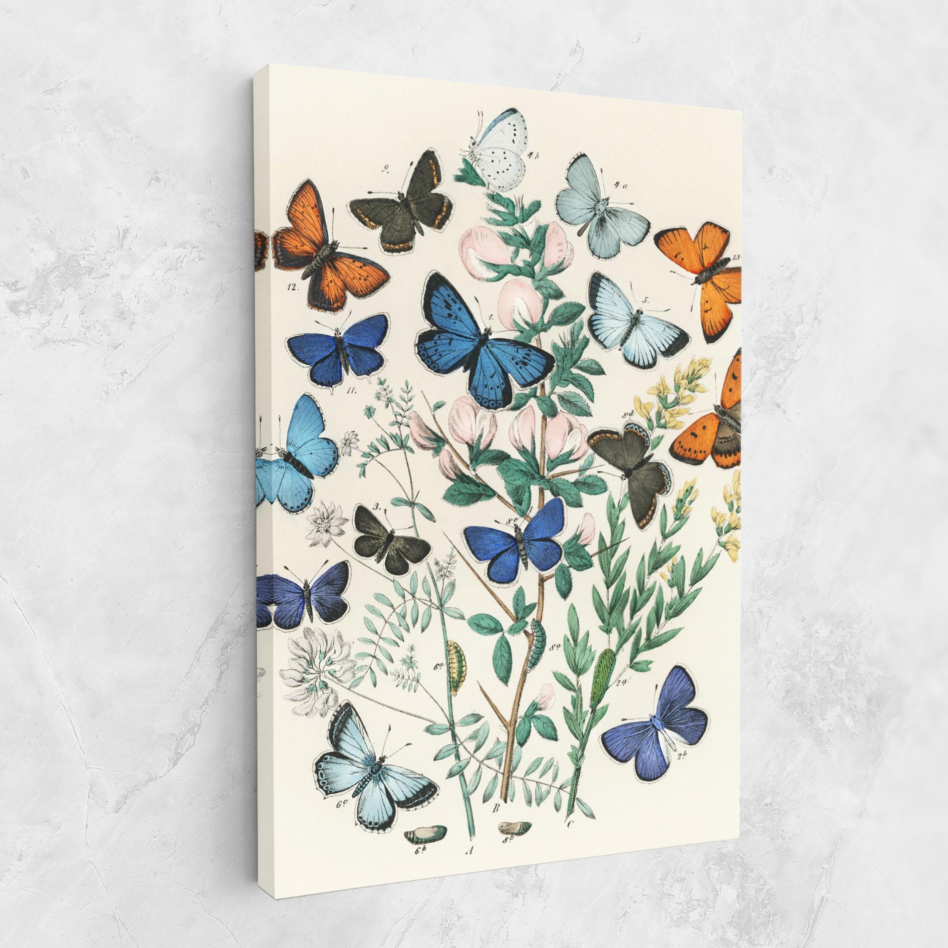 Картина на платно Blue Orange Butterflies mockup 1