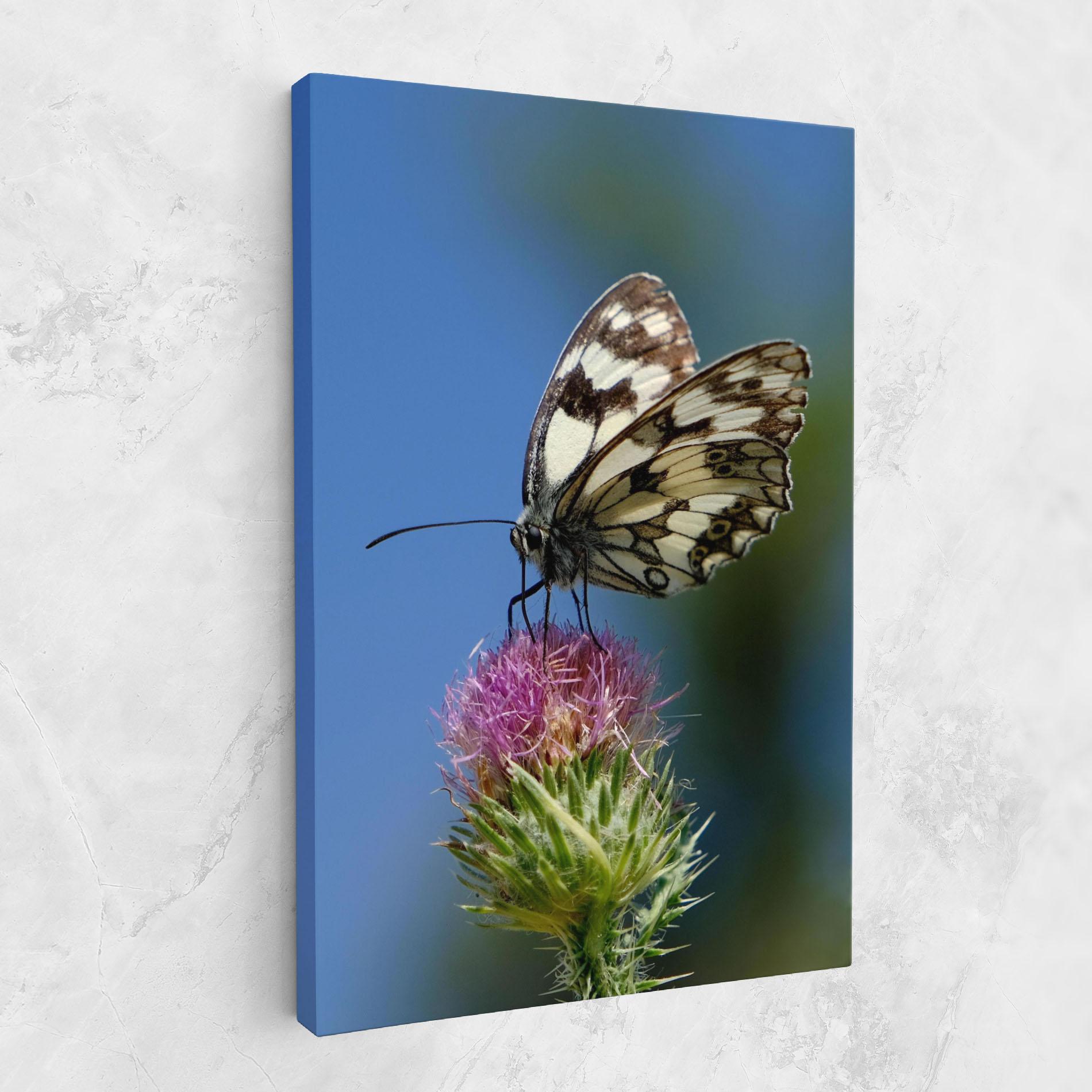 Картина на платно Grey White Butterfly mockup 1
