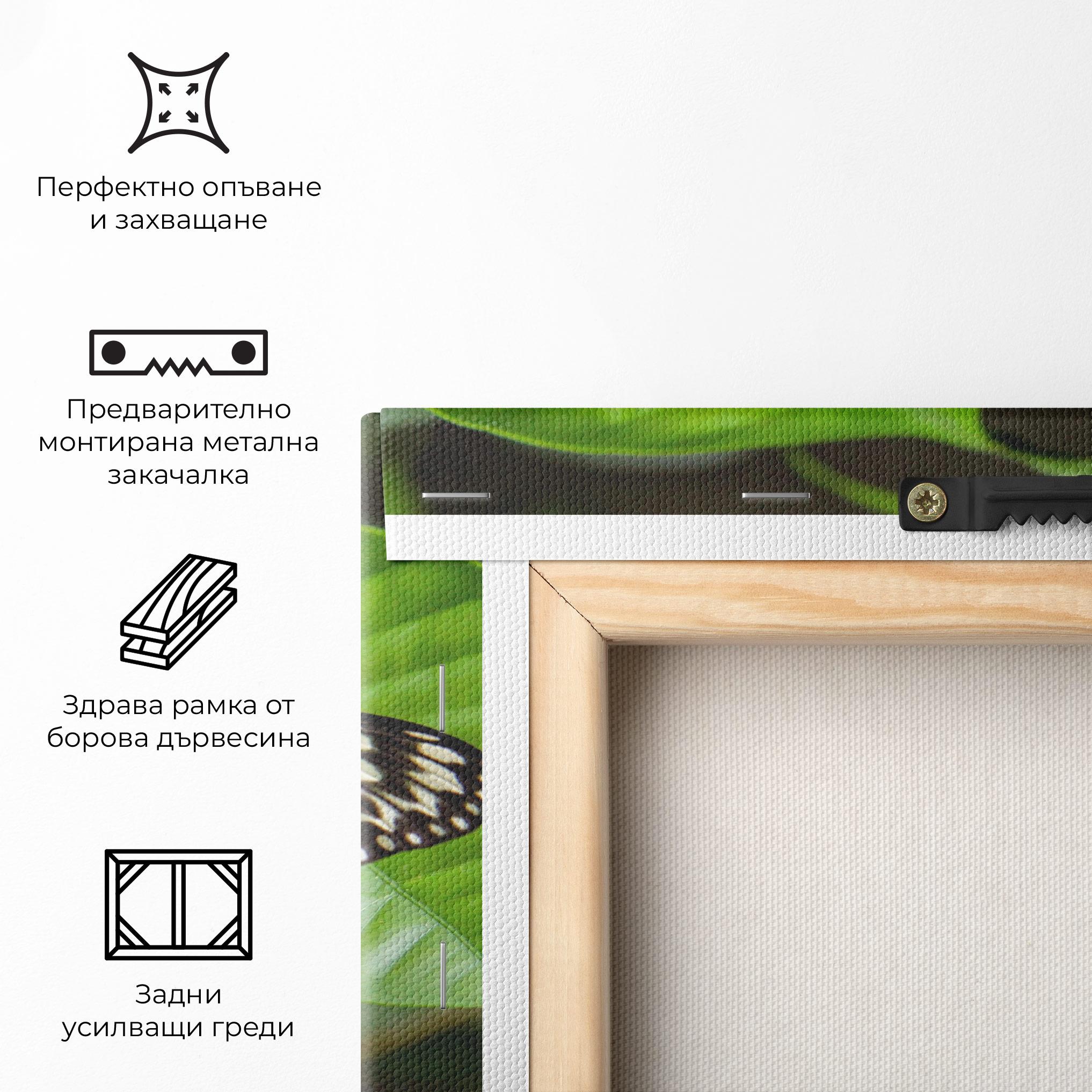 Картина на платно Beautiful White Butterfly mockup 5