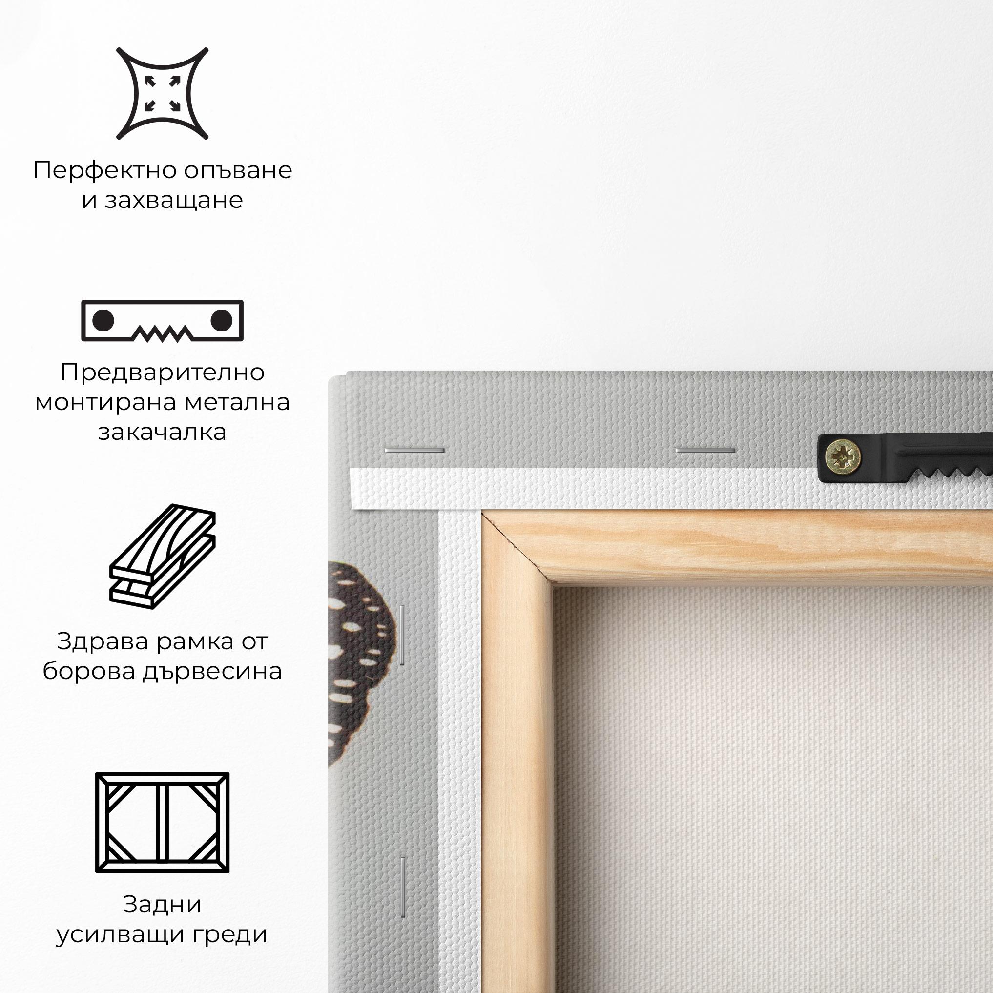 Картина на платно Butterfly On Grey mockup 5