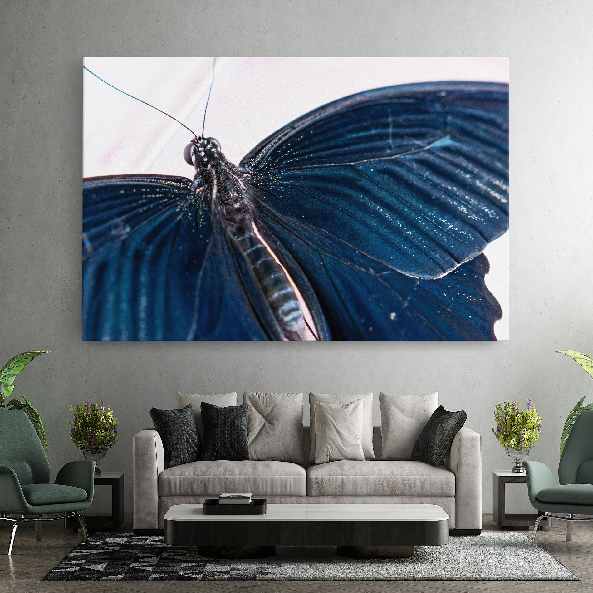 Blue Butterfly mockup 7