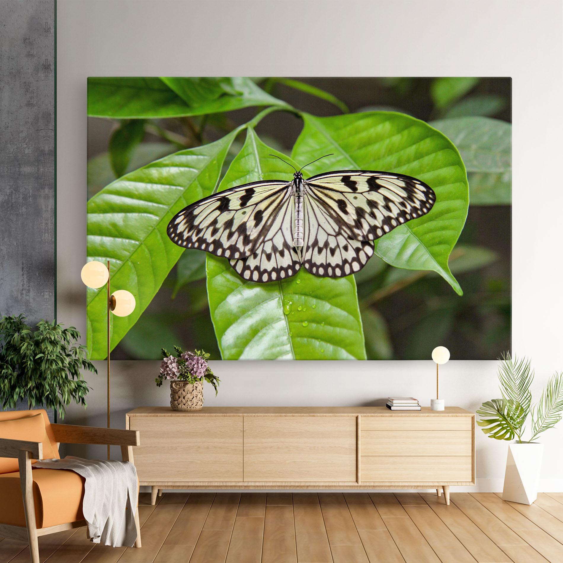 Картина на платно Beautiful White Butterfly mockup 9