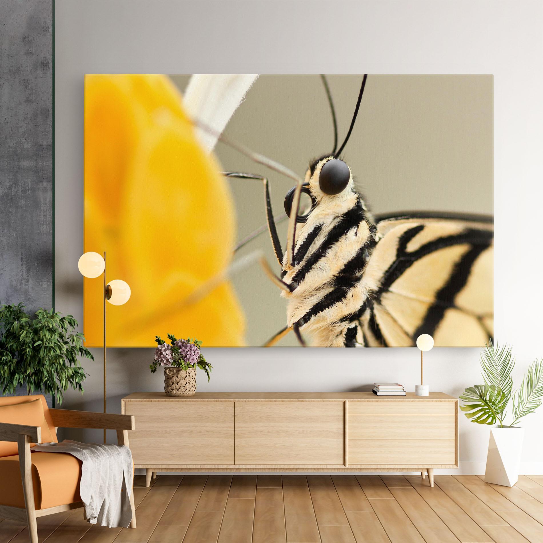 Картина на платно Close Up Cream Butterfly mockup 9