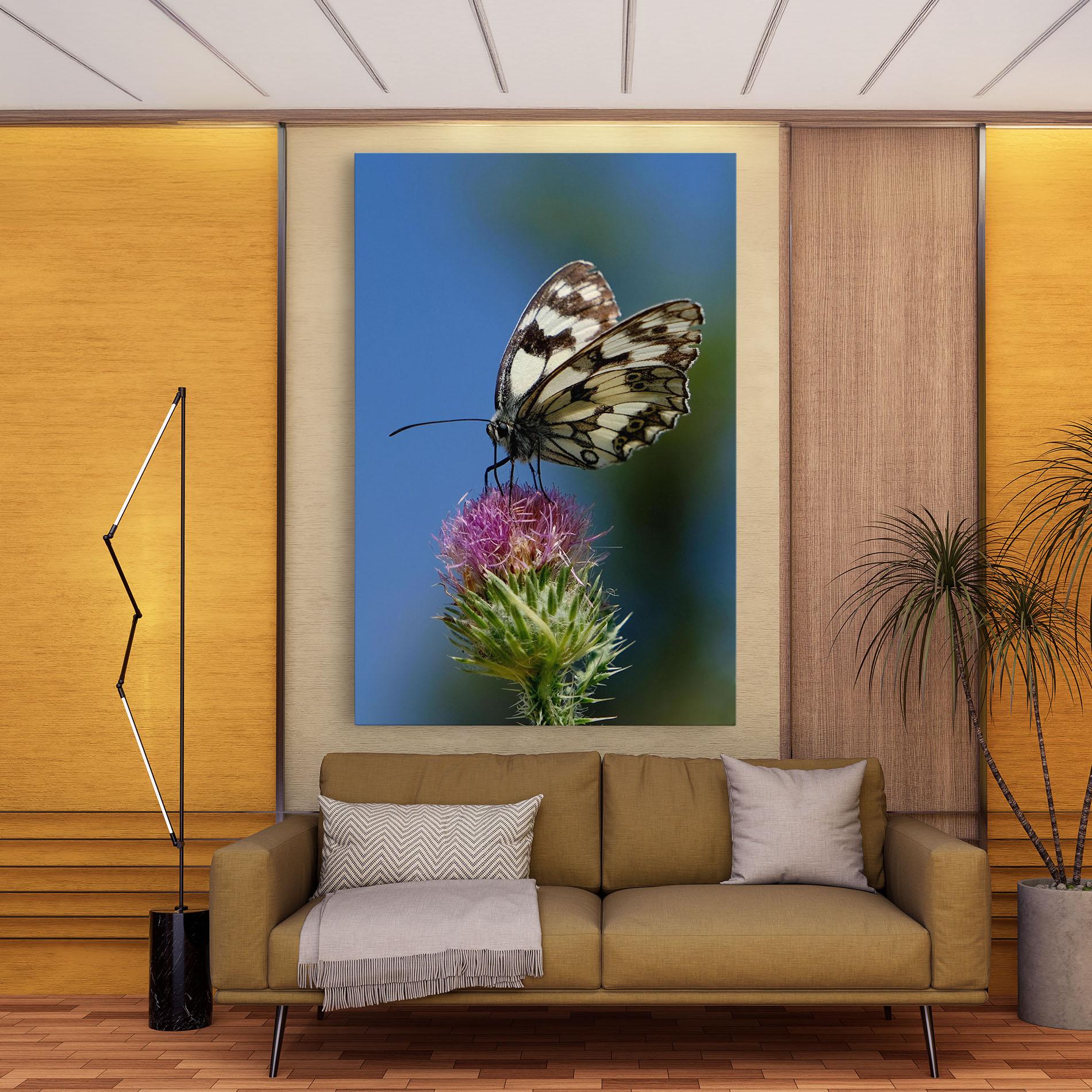 Картина на платно Grey White Butterfly mockup 9