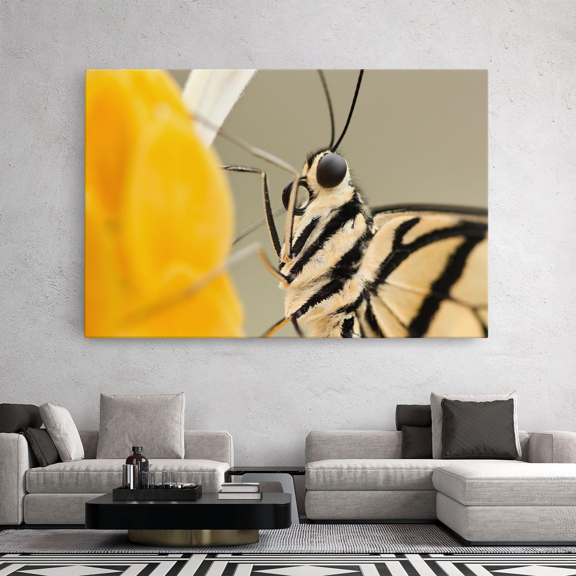 Картина на платно Close Up Cream Butterfly mockup 2