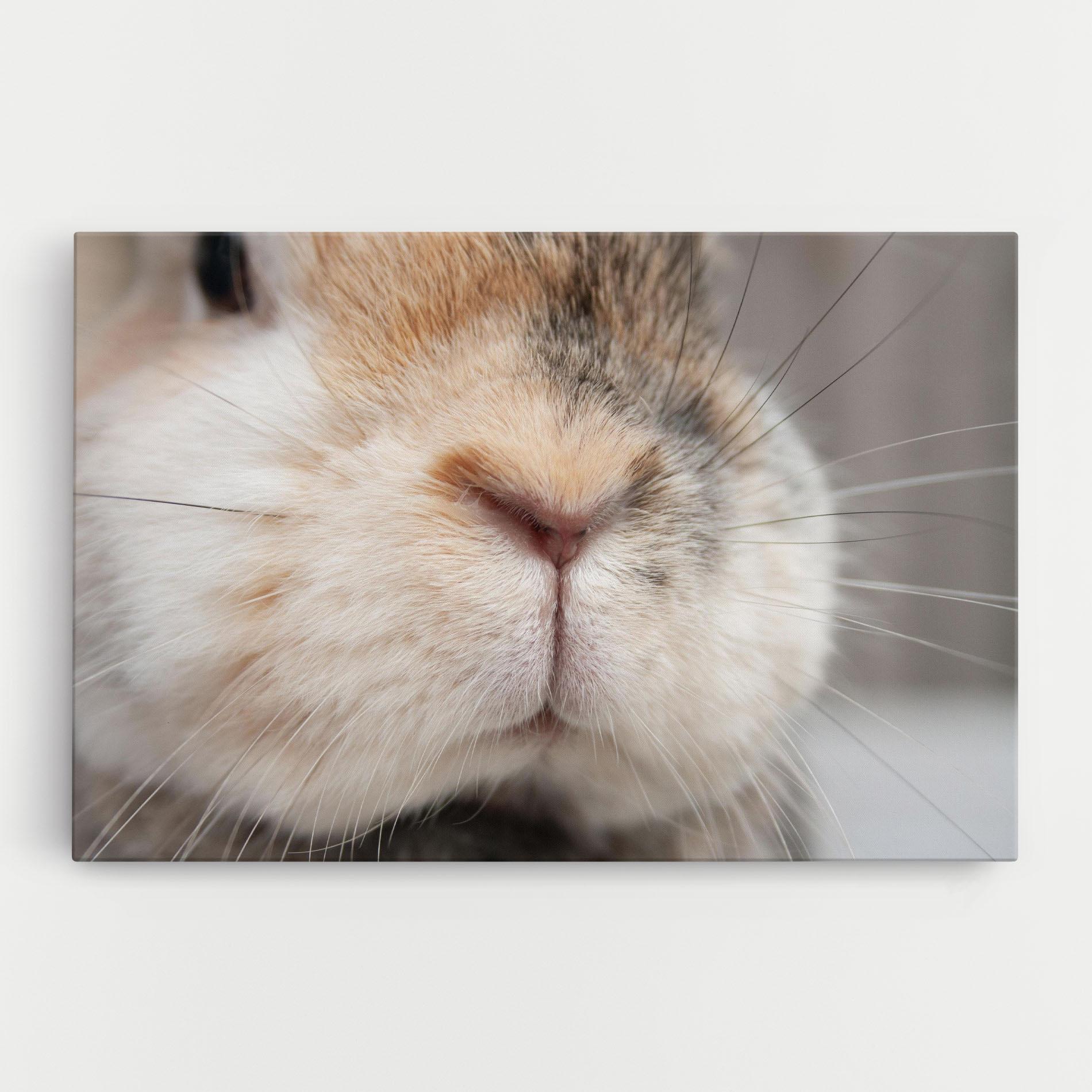 Картина на платно Close Up Bunny mockup 0