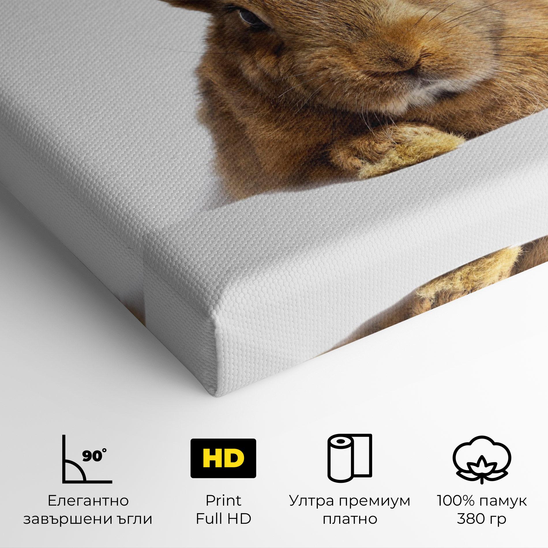 Картина на платно Brown Cute Bunny mockup 4