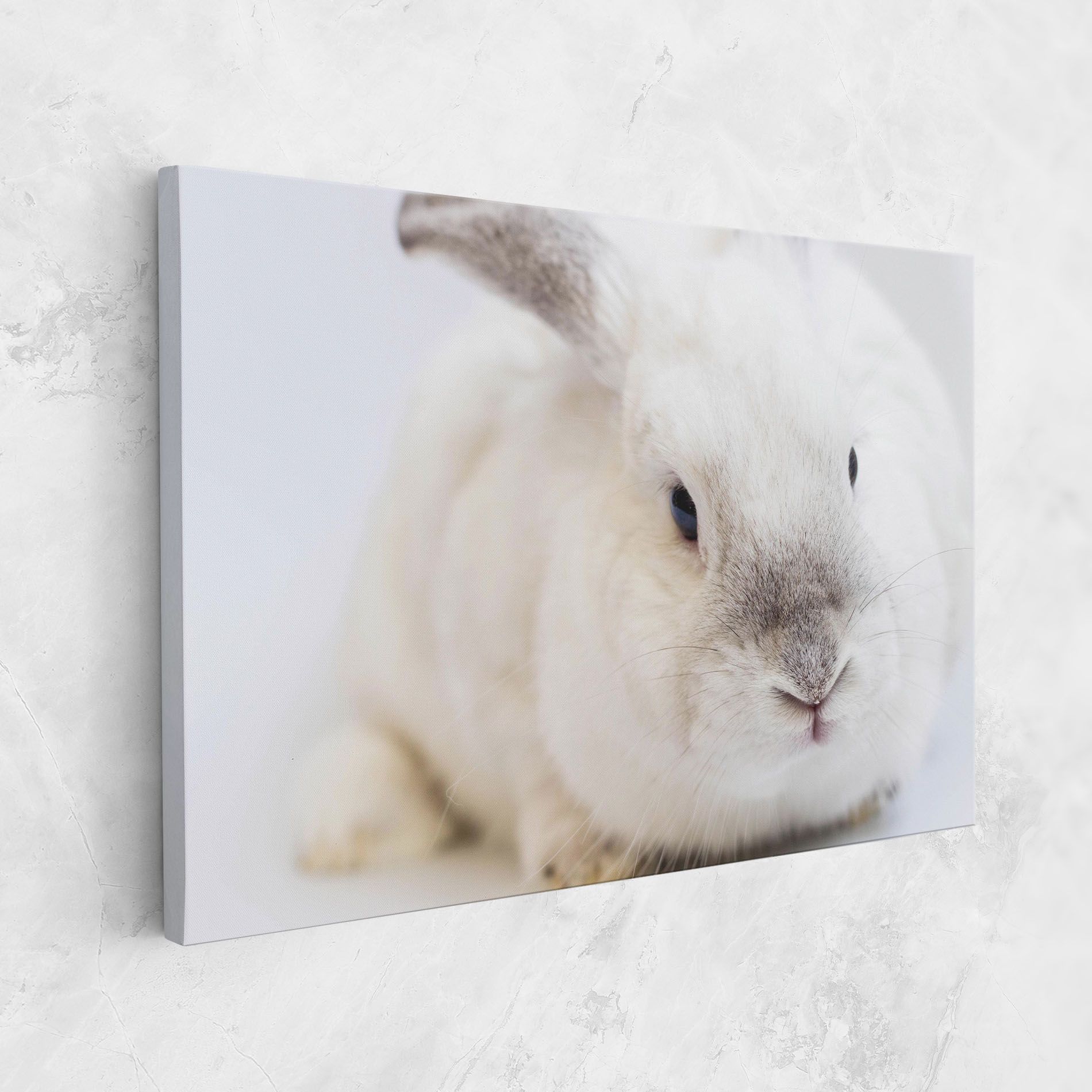 Light Grey Bunny mockup 1
