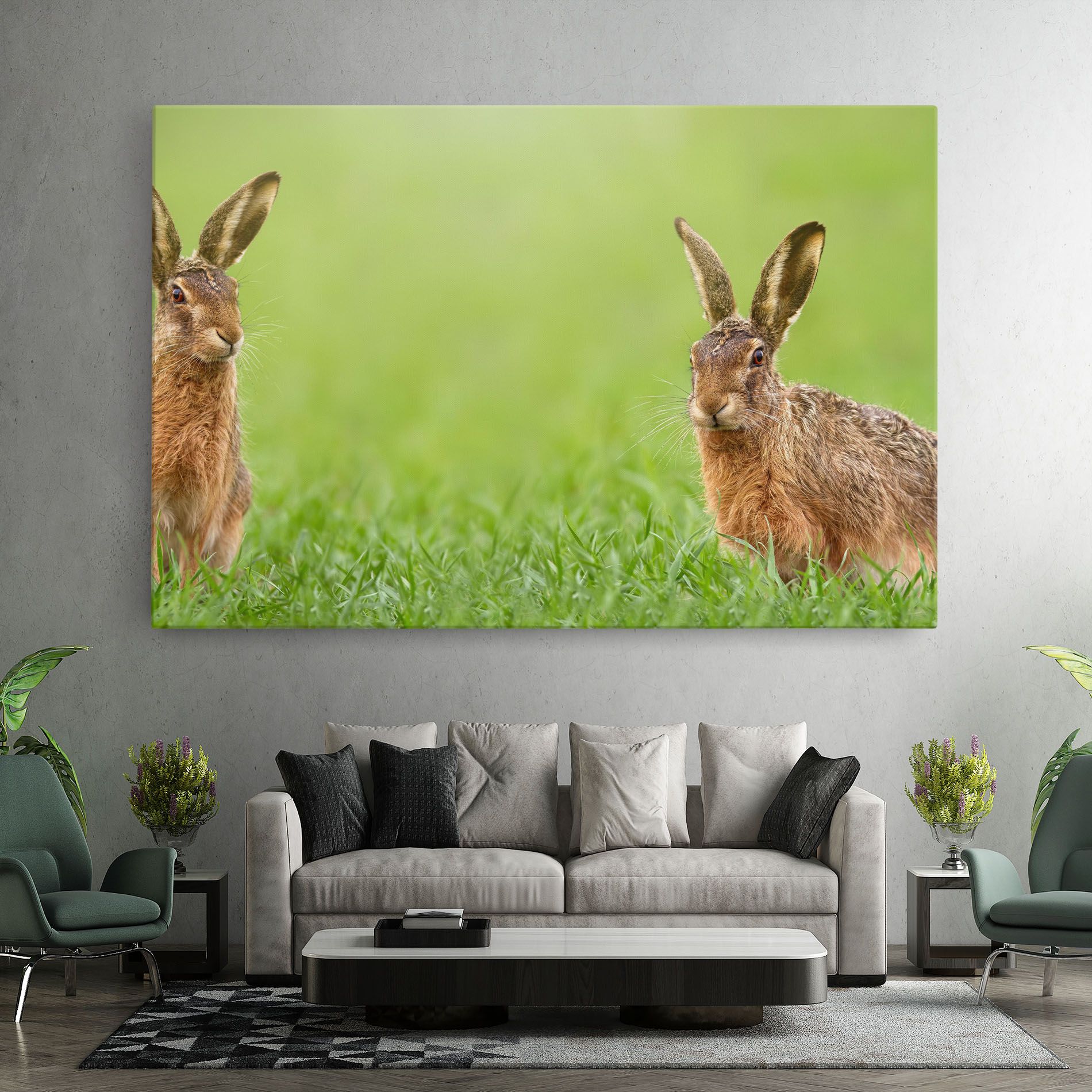 Brown Hares mockup 7