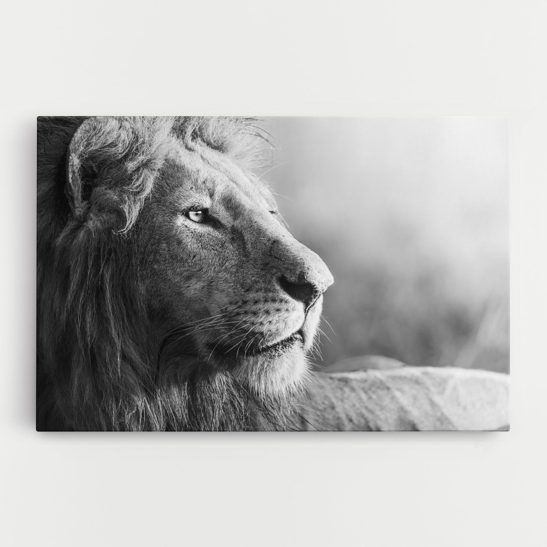 Картина на платно Grey Lion Head mockup 0