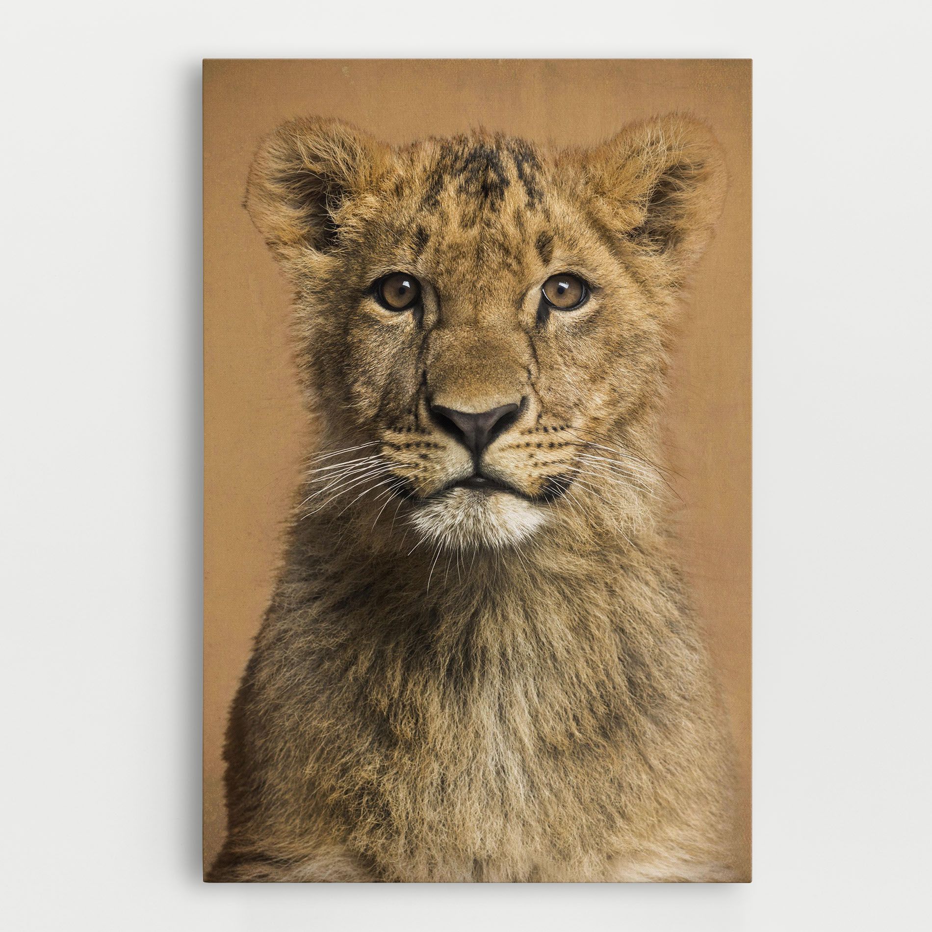 Baby Lion mockup 0