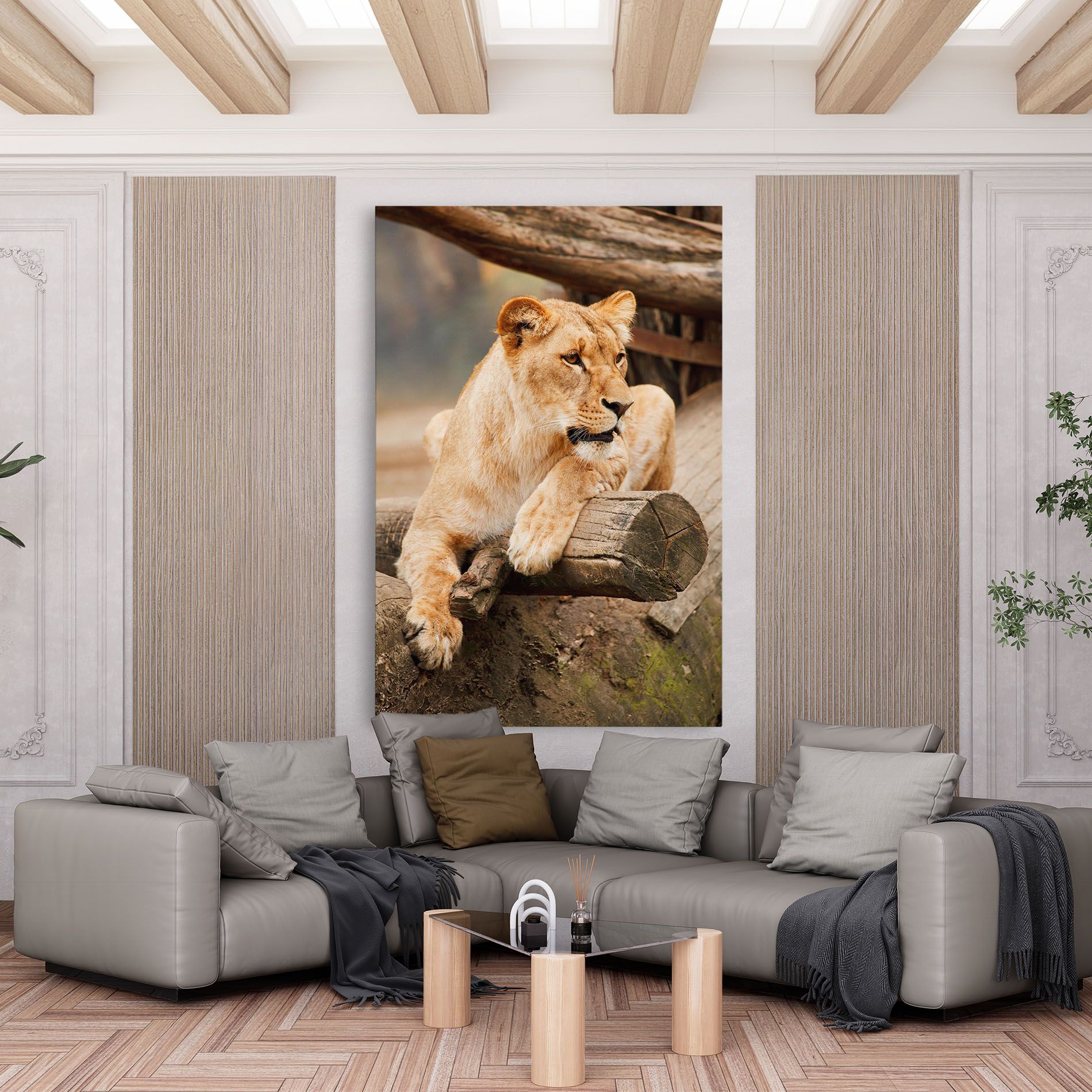 Female Lion Sitting mockup 6