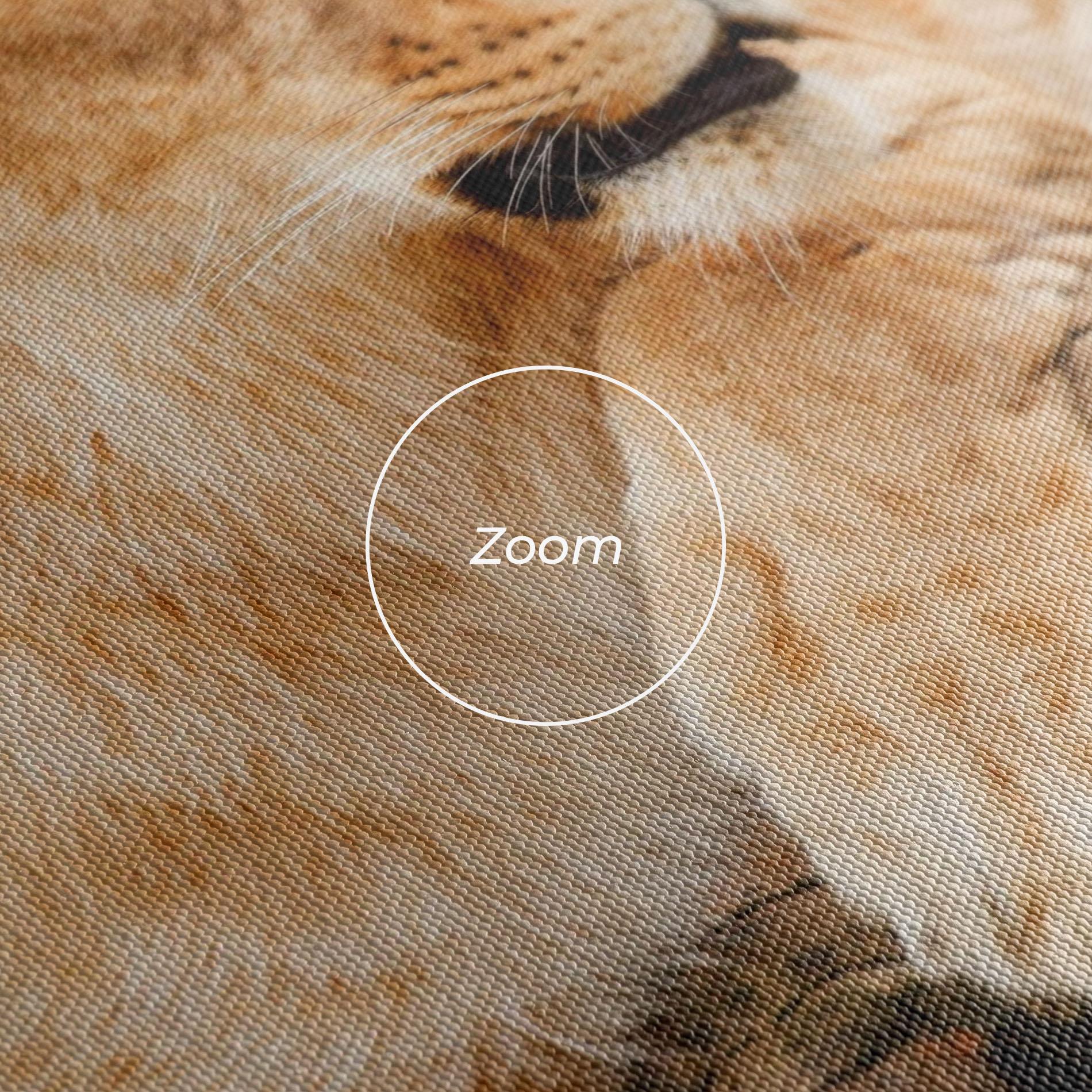 Картина на платно Female Lion Sitting mockup 3