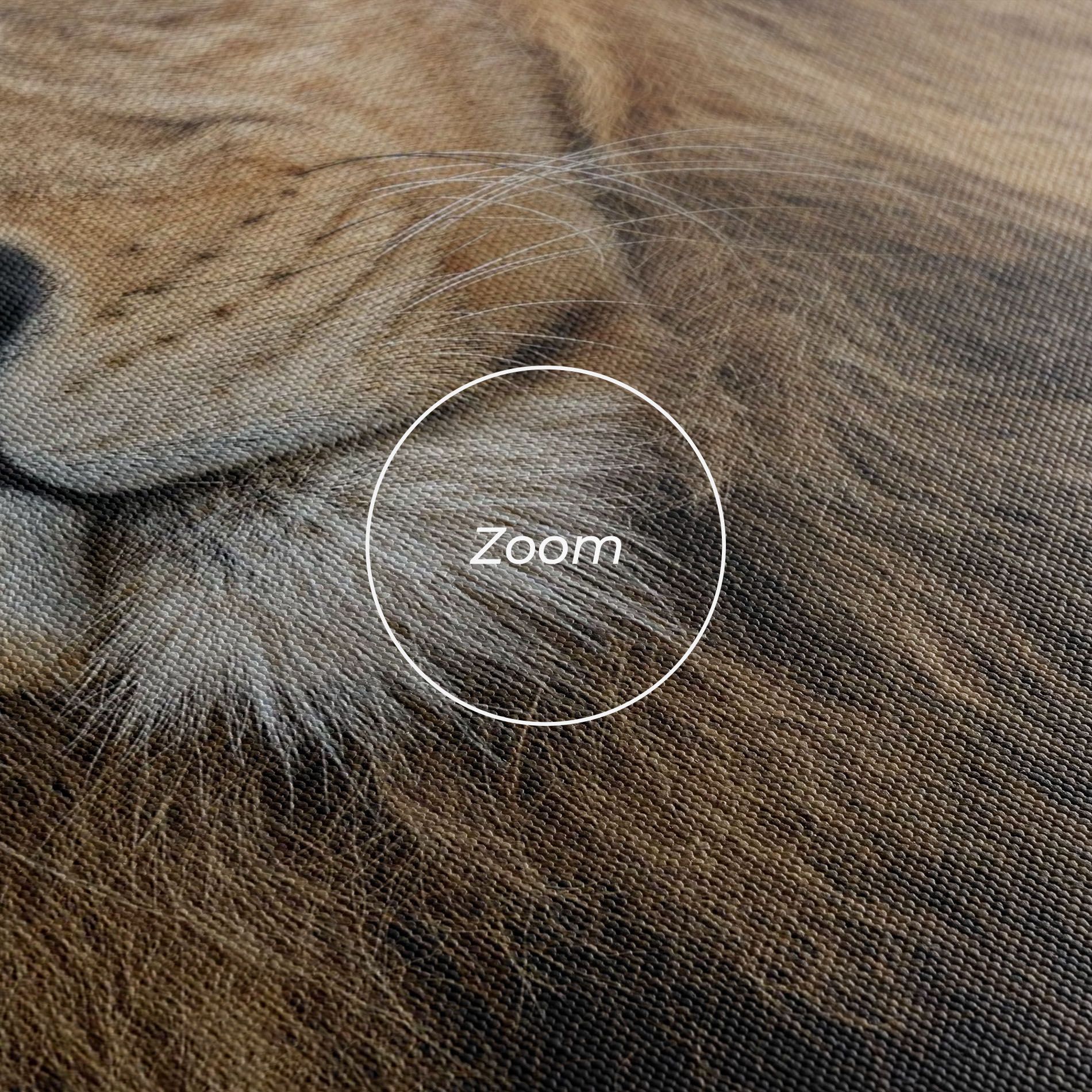 Lion Chilling mockup 3