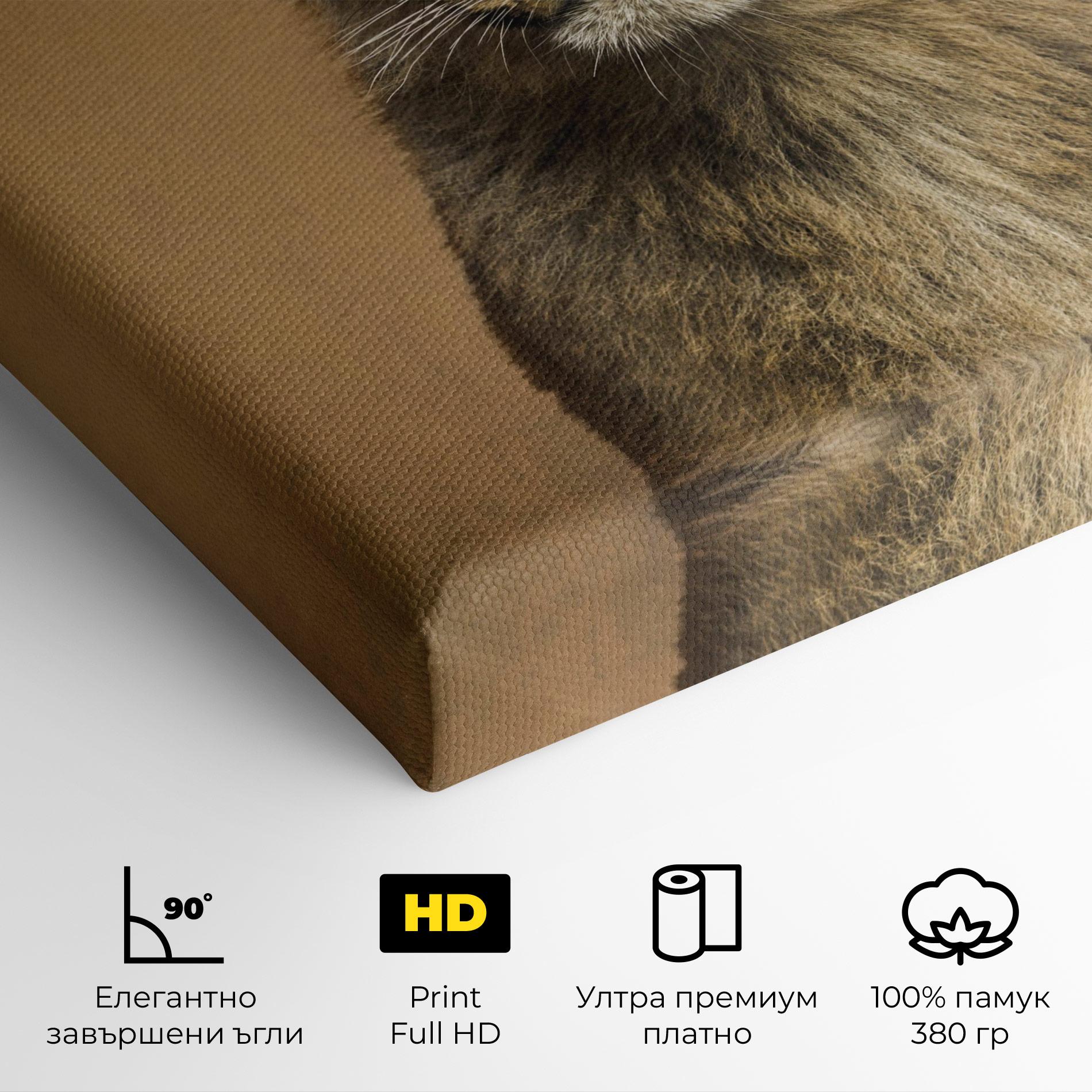 Картина на платно Baby Lion mockup 4