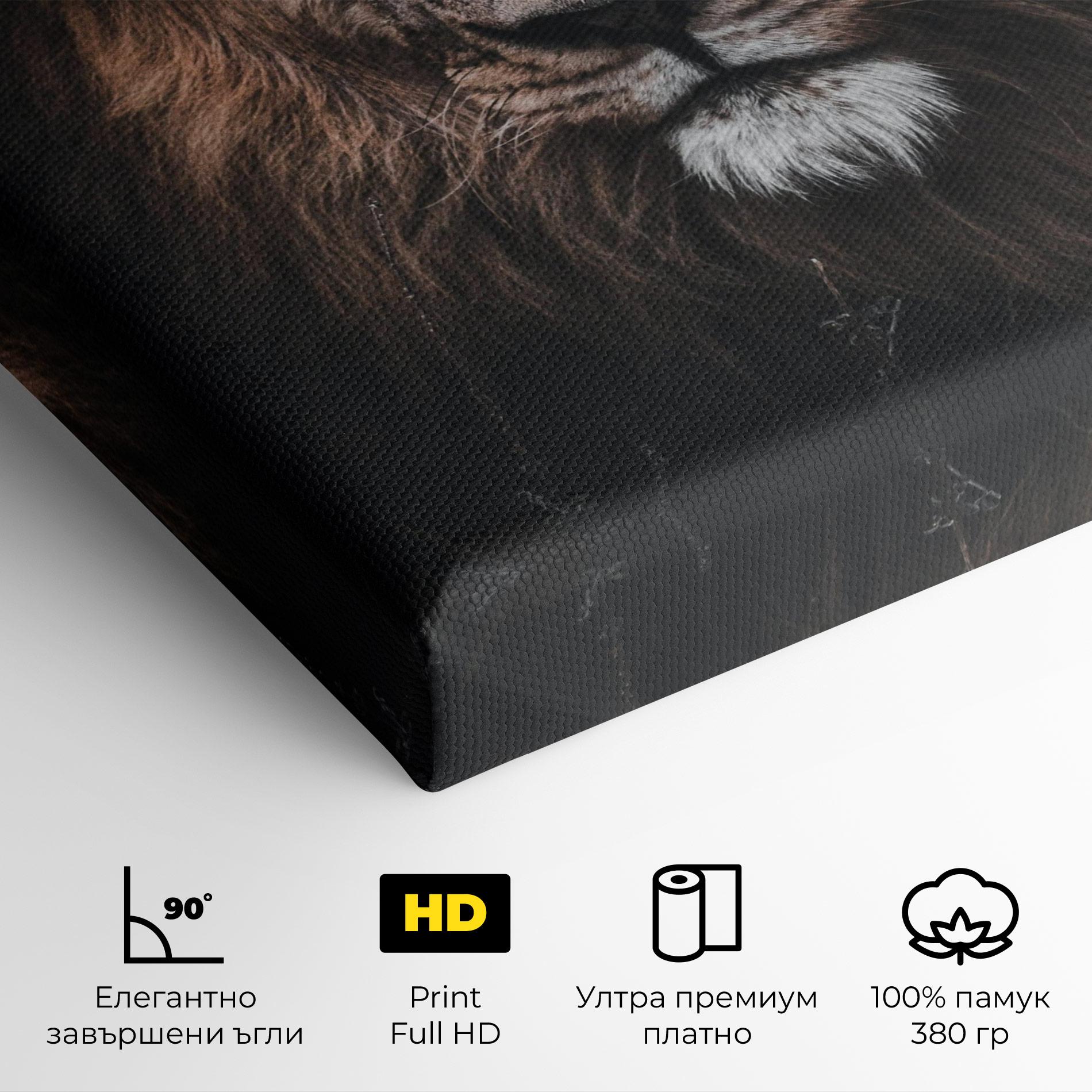 Картина на платно Jungle King mockup 4