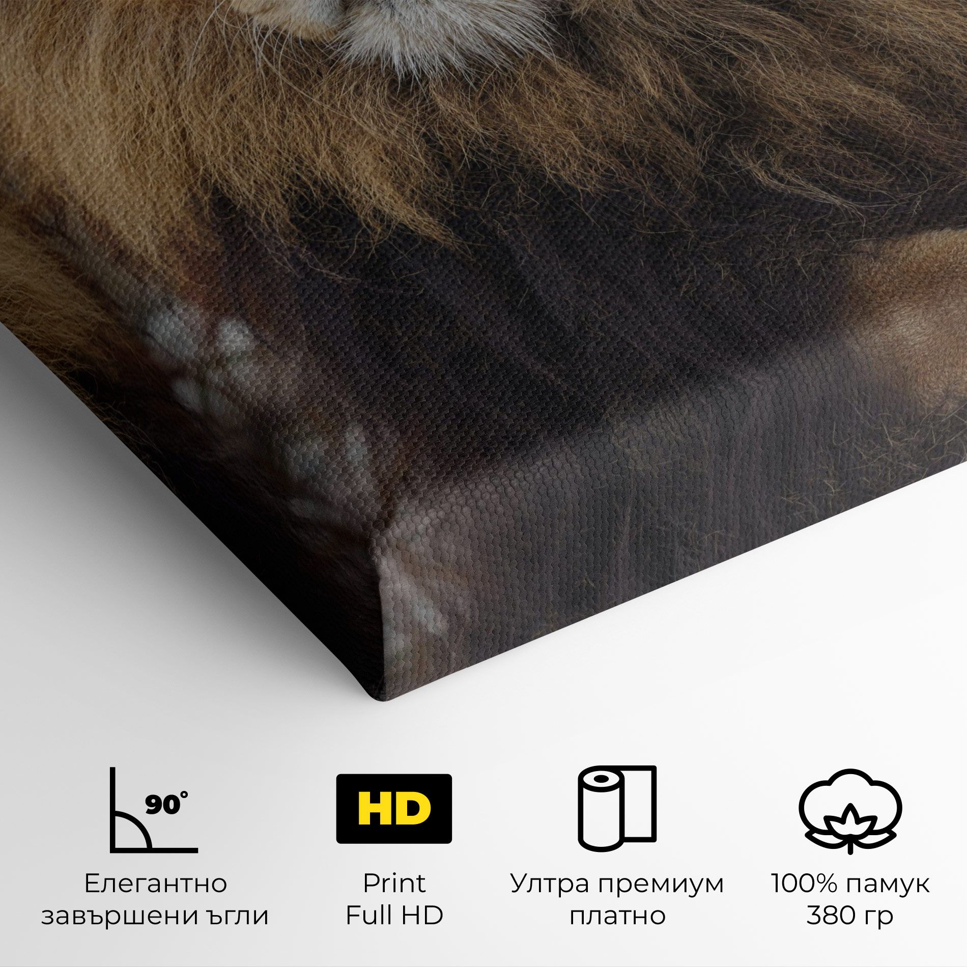 Lion Chilling mockup 4