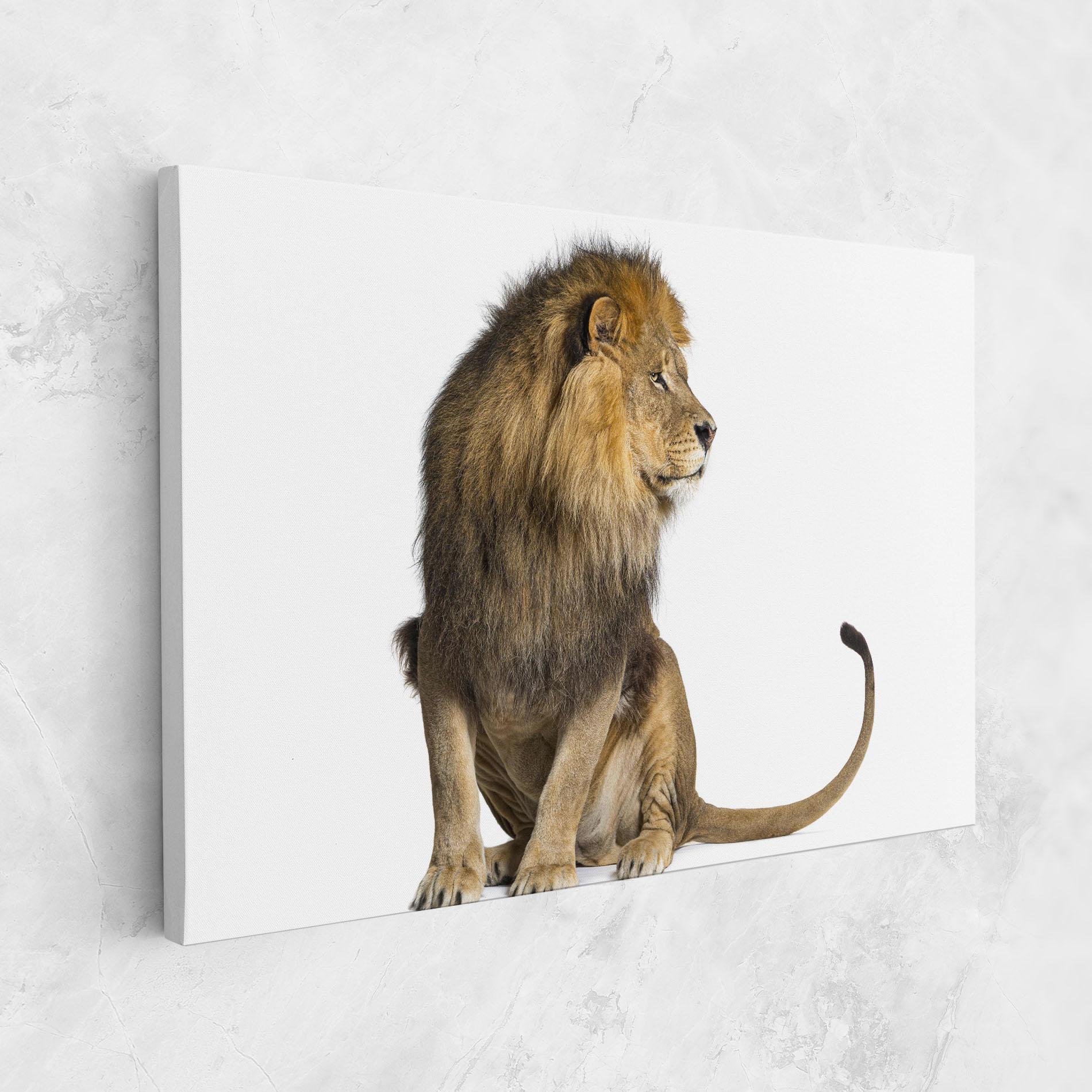 Картина на платно Big Lion mockup 1