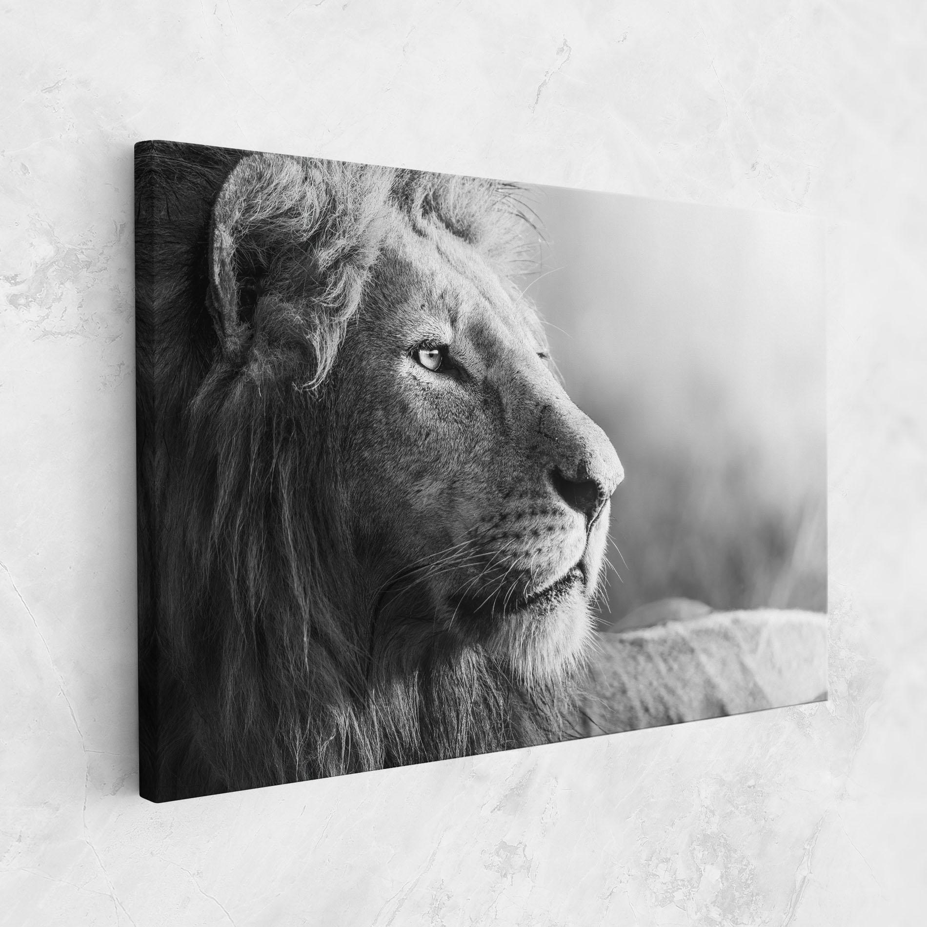 Картина на платно Grey Lion Head mockup 1