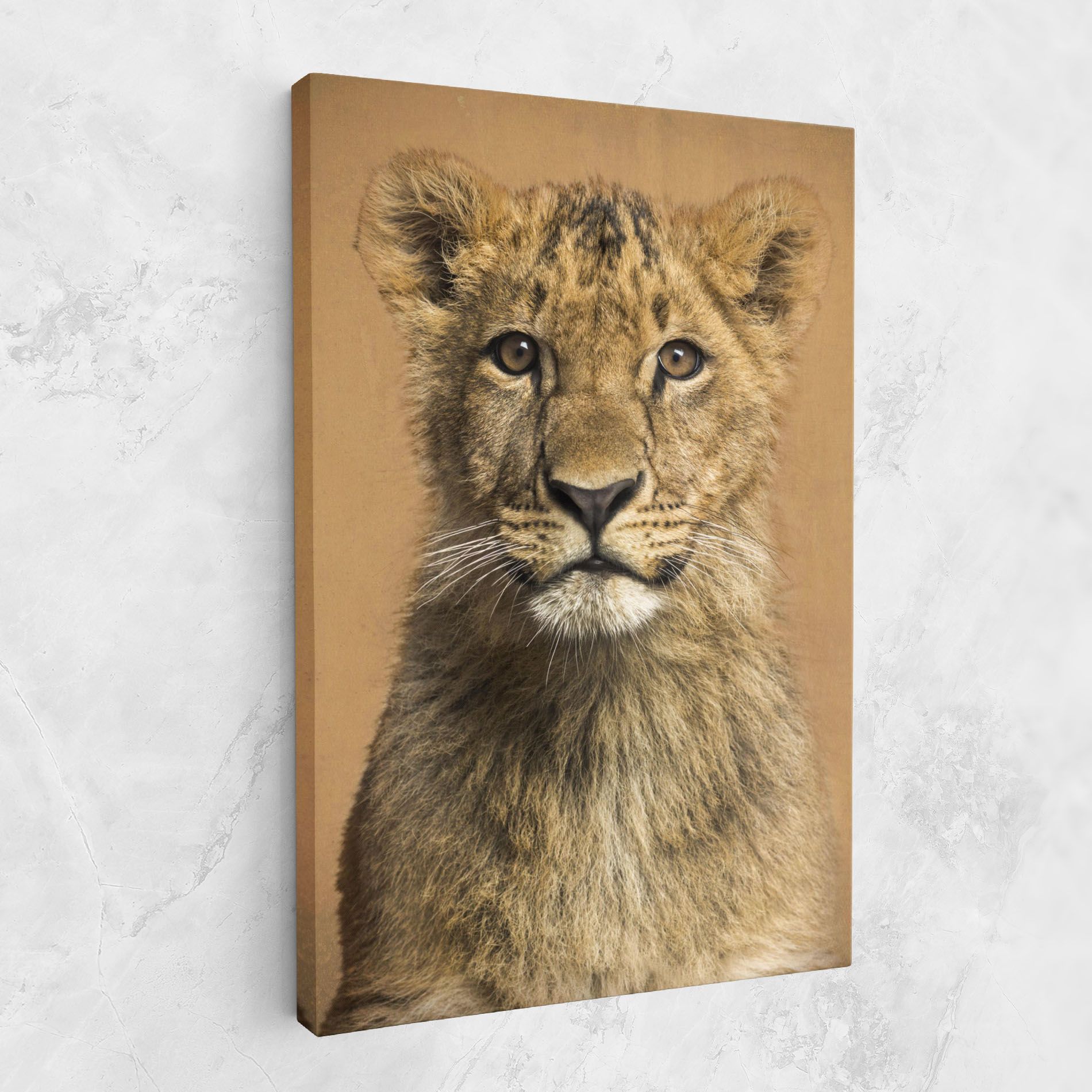 Baby Lion mockup 1