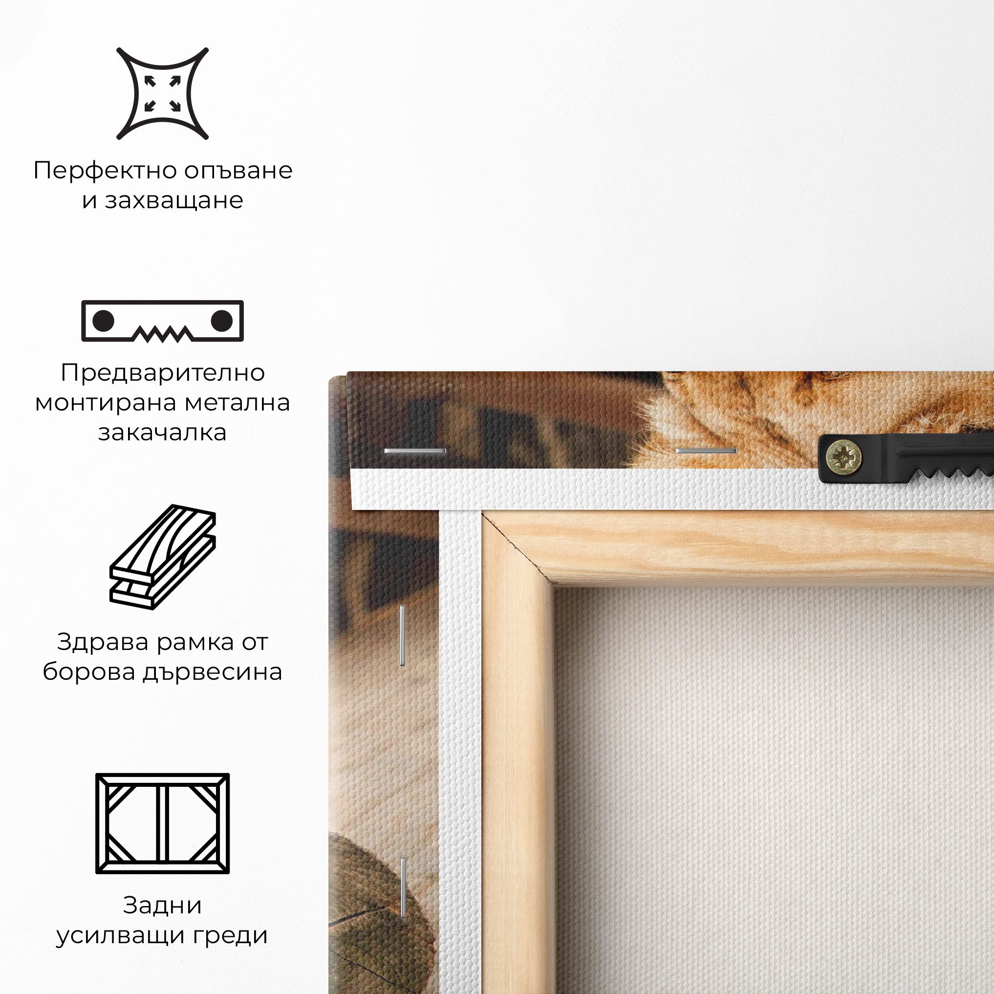 Female Lion Sitting mockup 5