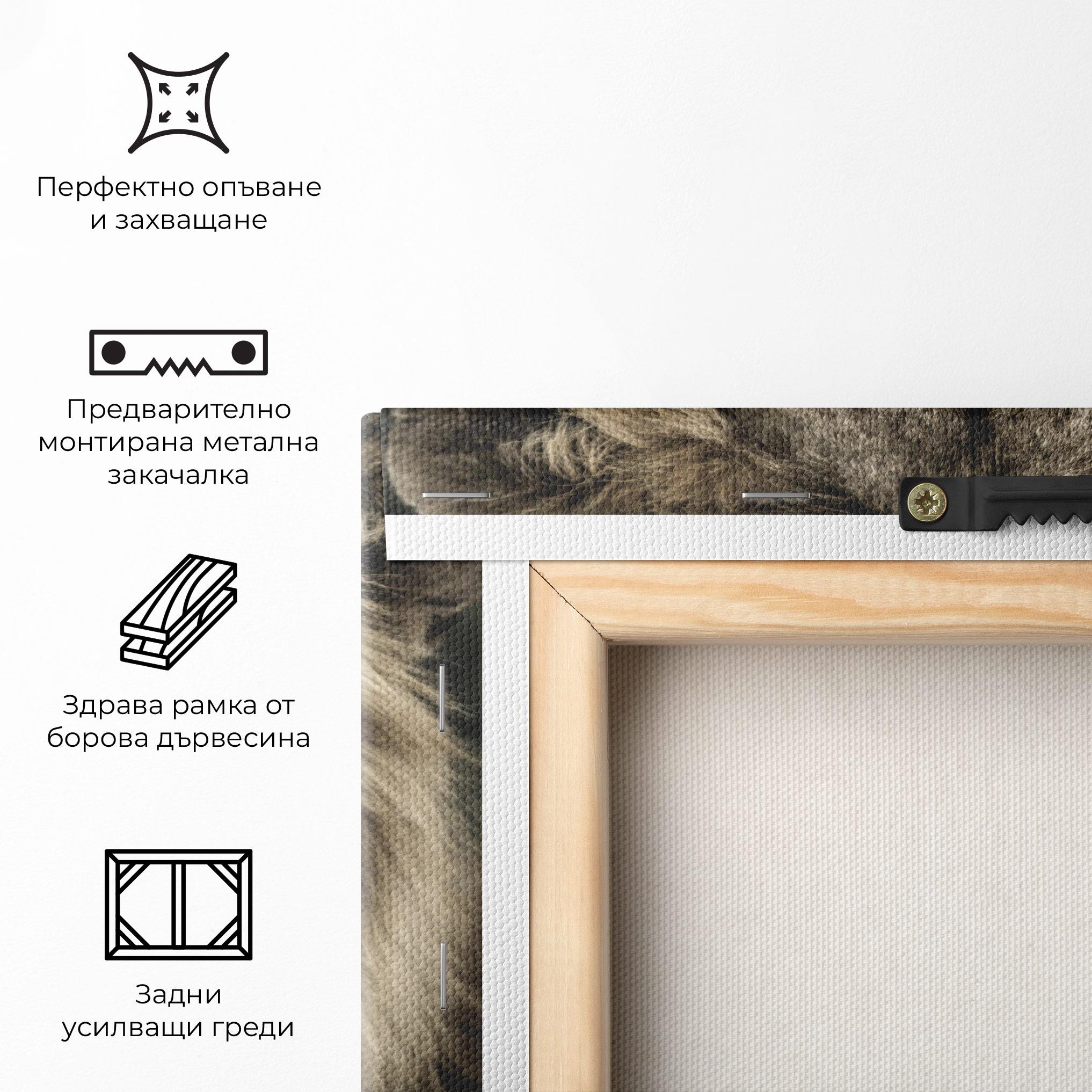 Картина на платно Lion Close Up mockup 5