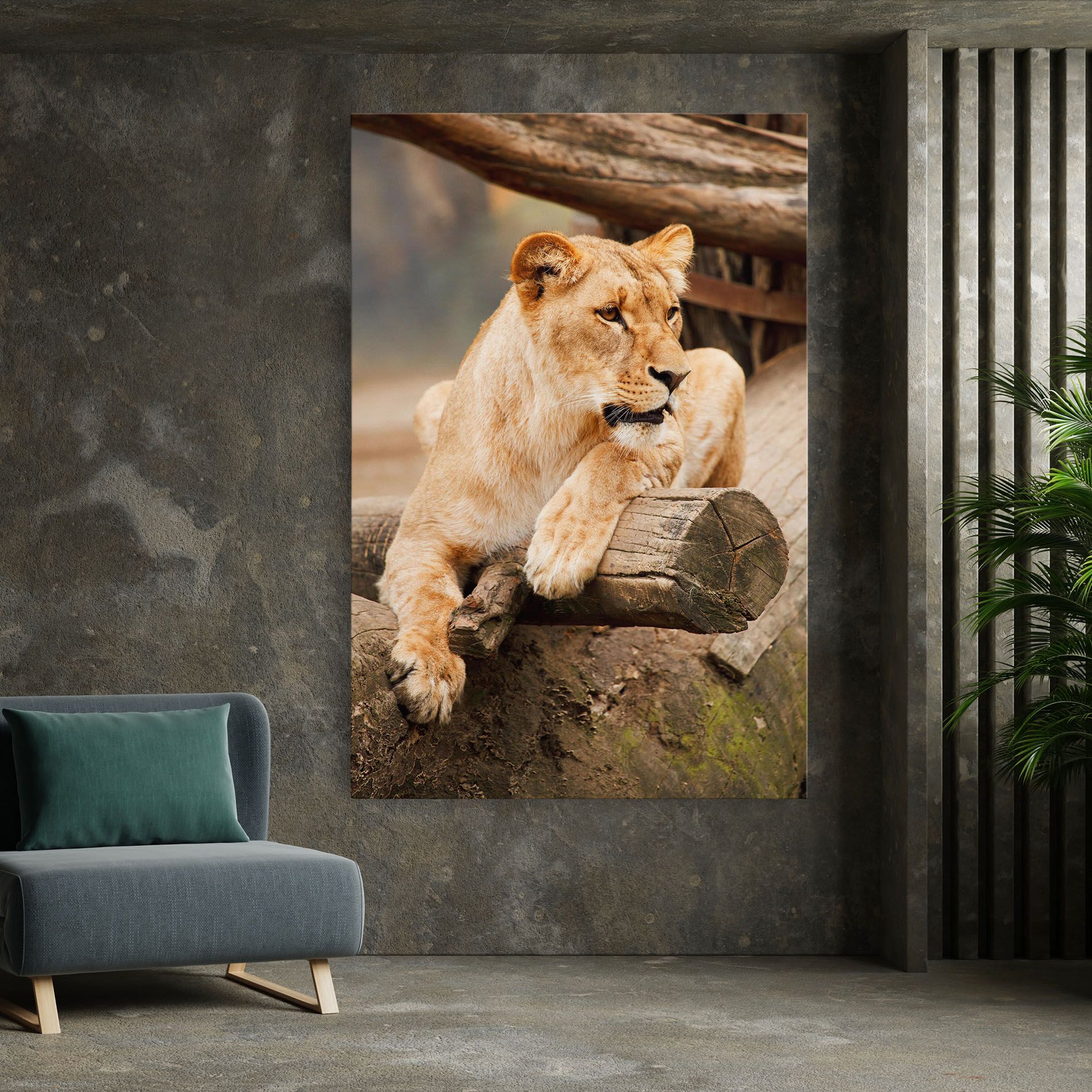 Female Lion Sitting mockup 7