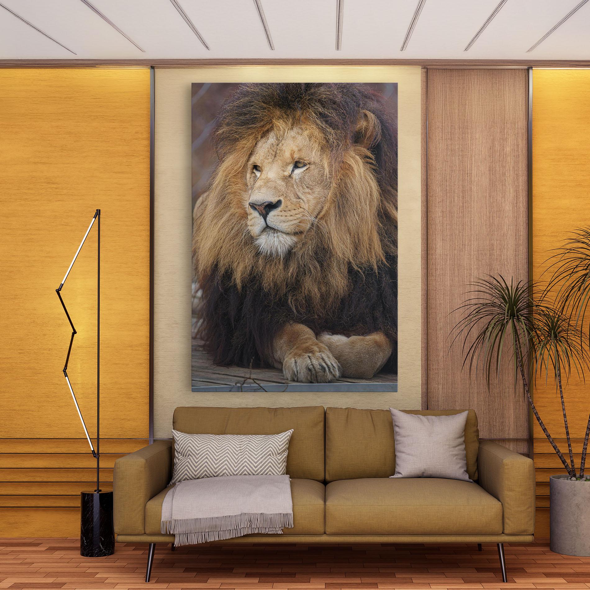 Картина на платно Lion Chilling mockup 9