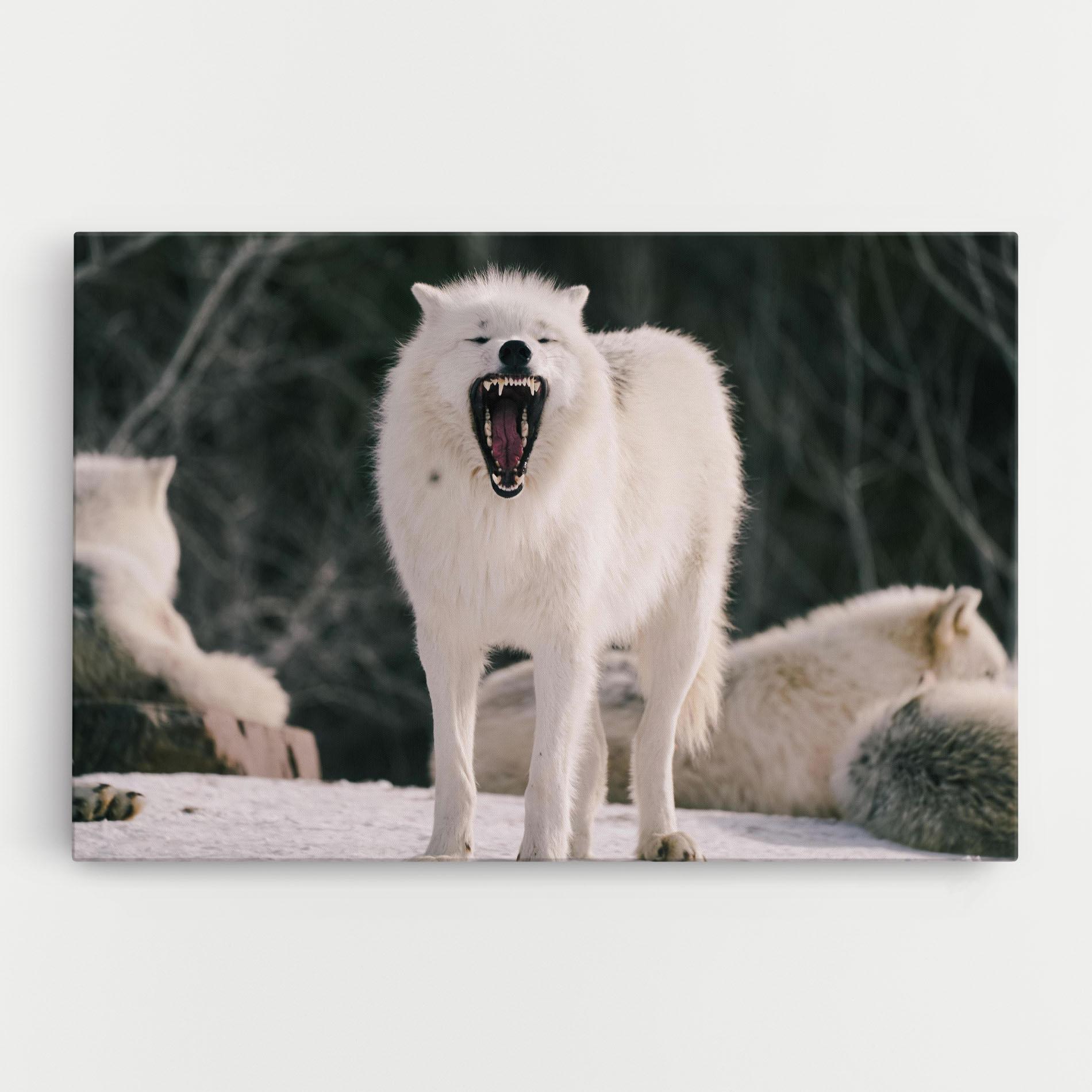 Картина на платно Laughing White Wolf mockup 0