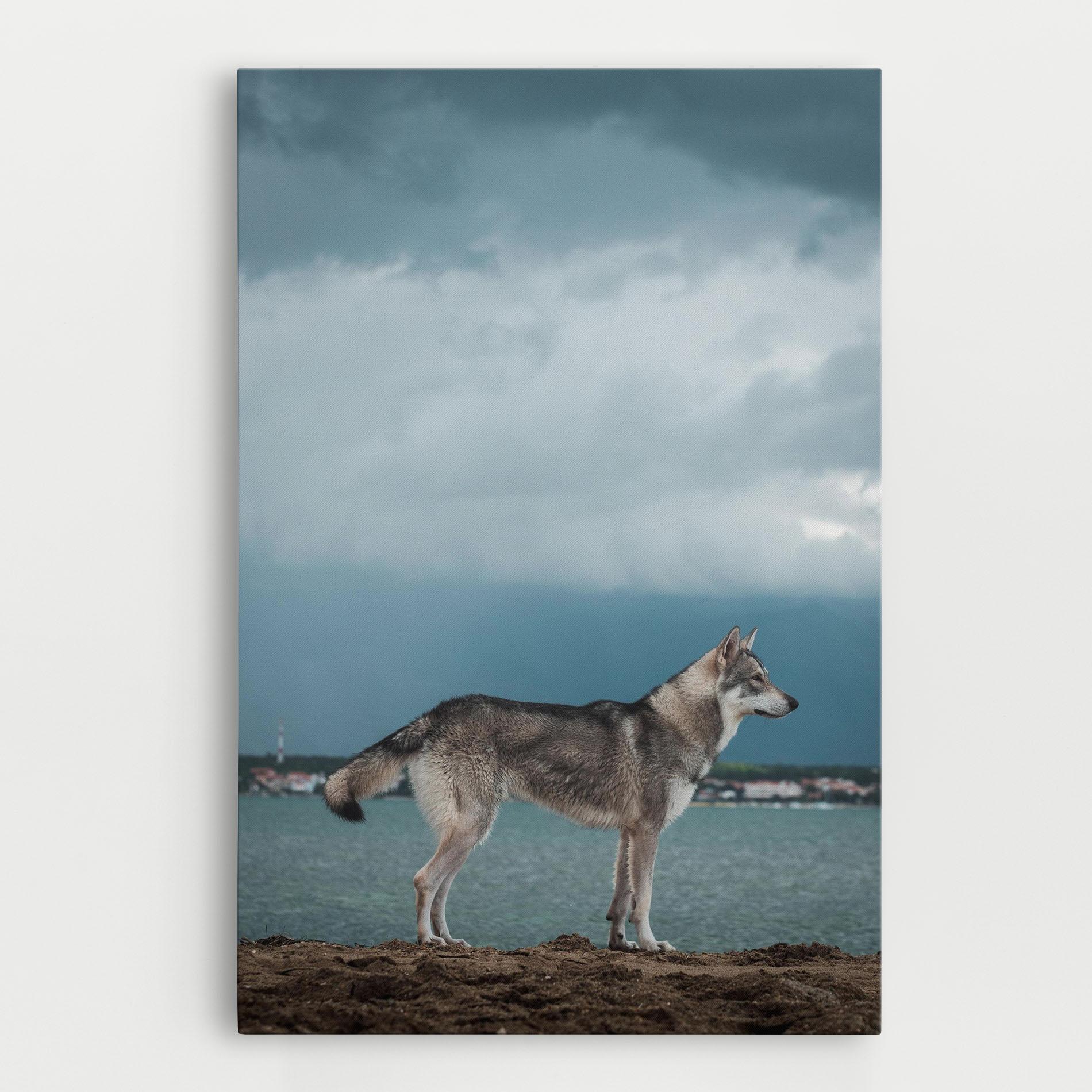 Картина на платно Grey Wolf Looking mockup 0