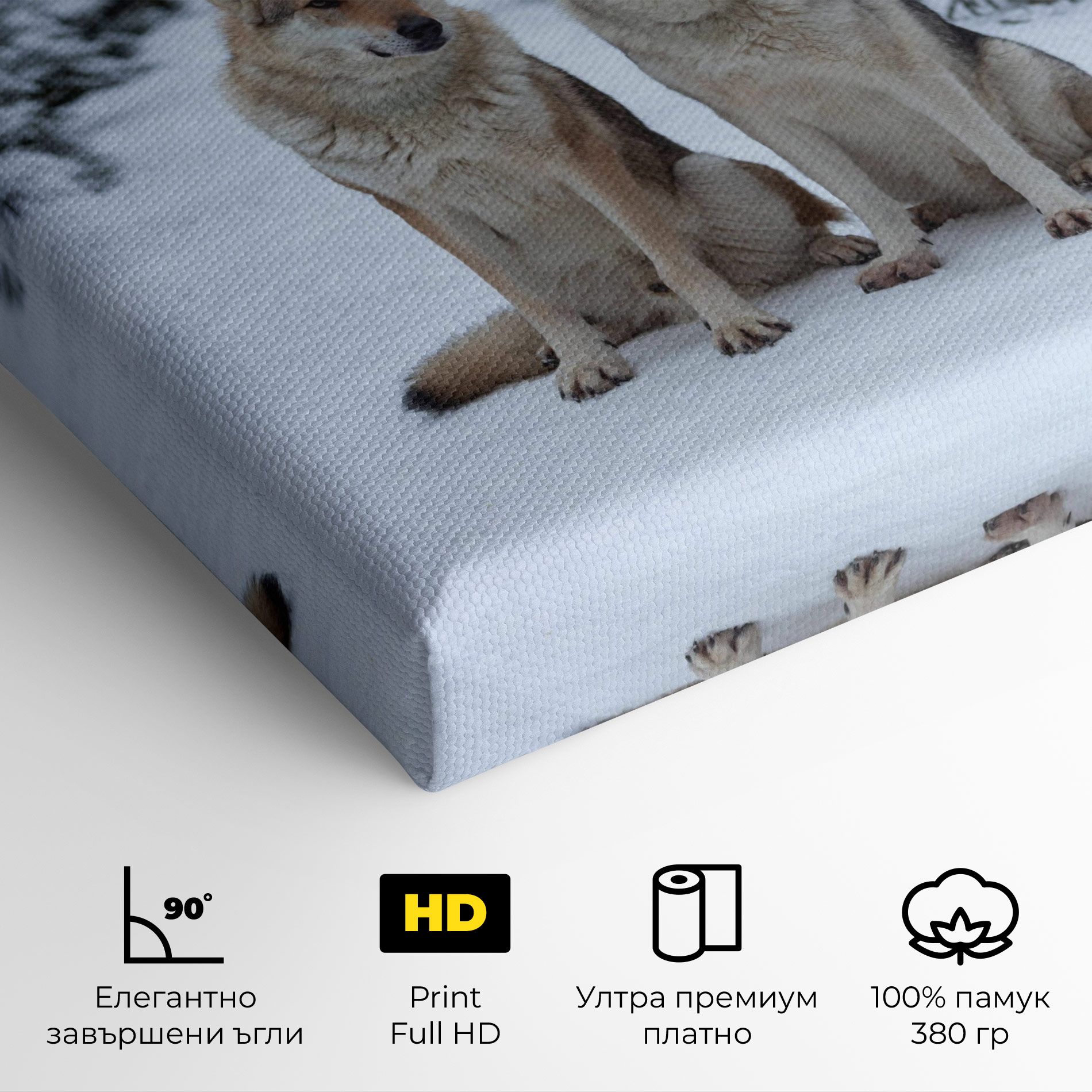 2 Wolfs Sitting mockup 4