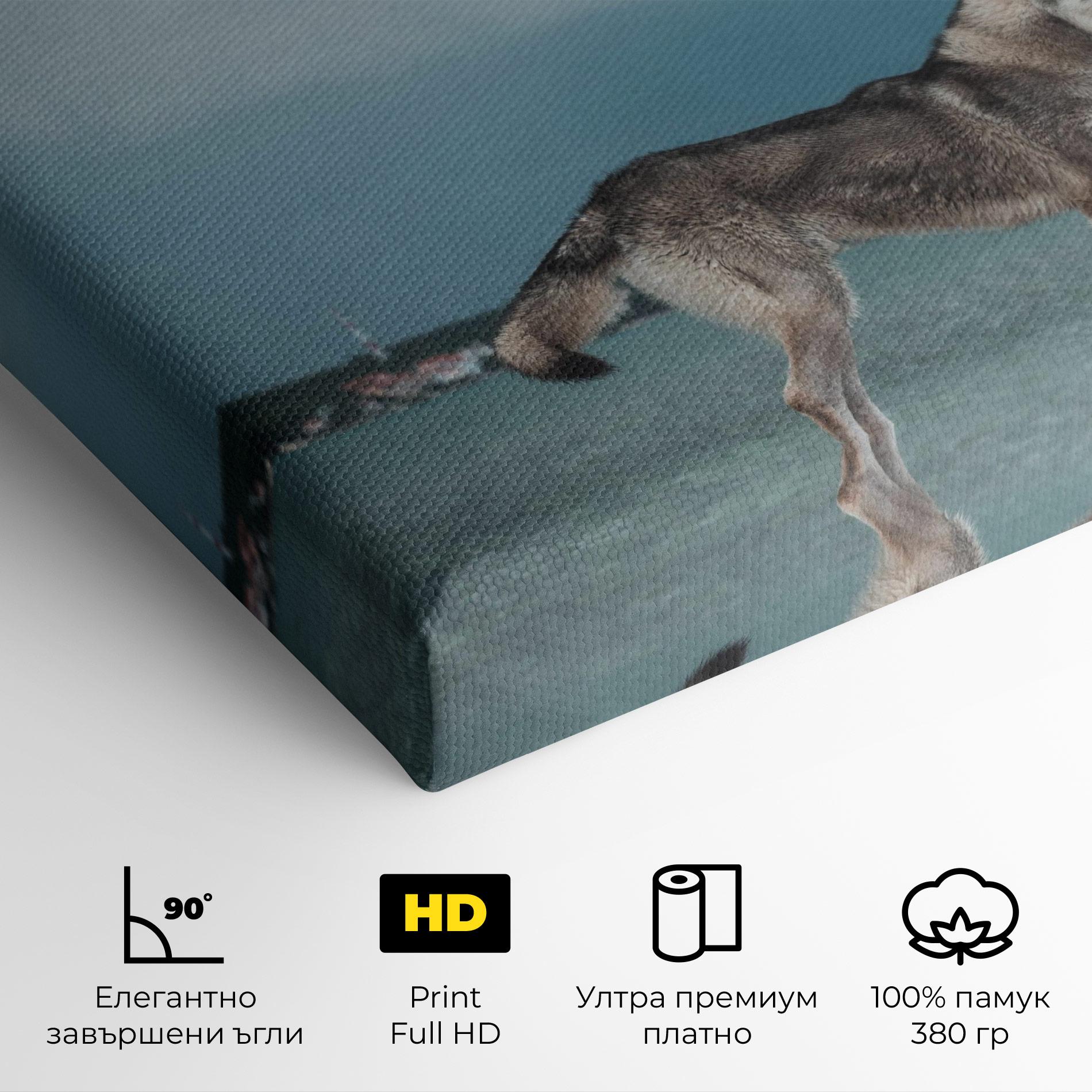 Картина на платно Grey Wolf Looking mockup 4