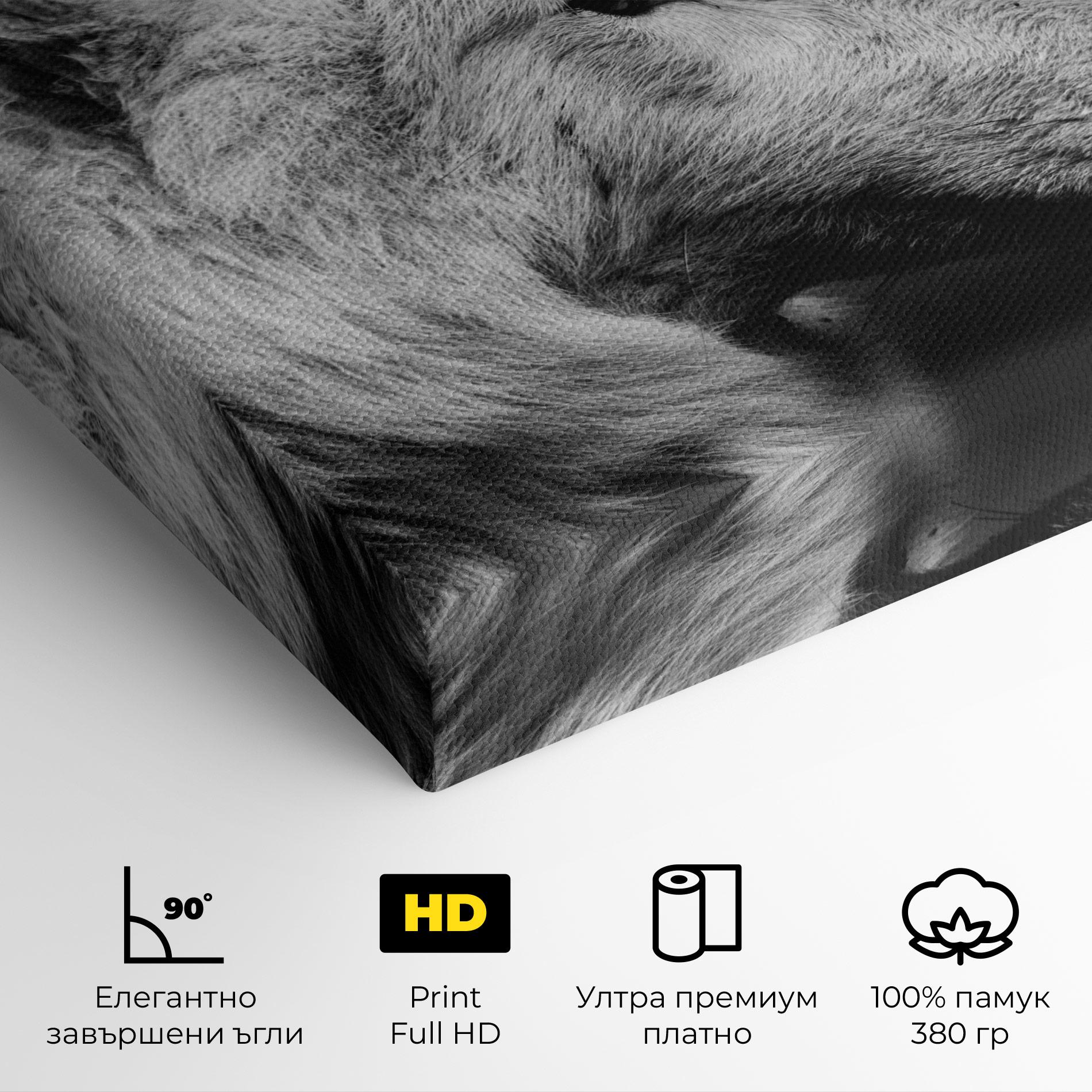 Картина на платно Grey Wolf mockup 4