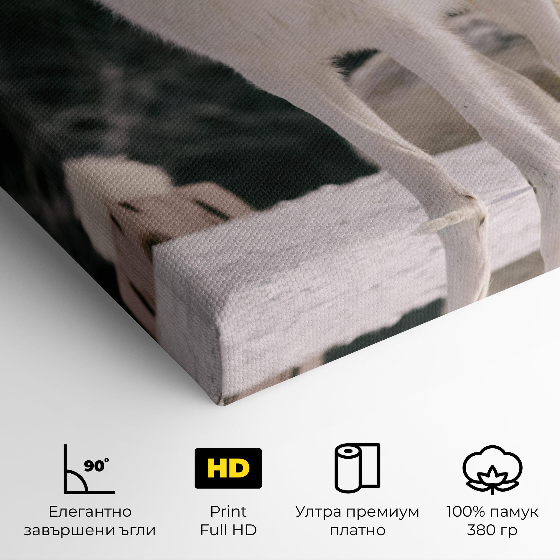 Картина на платно Laughing White Wolf mockup 4