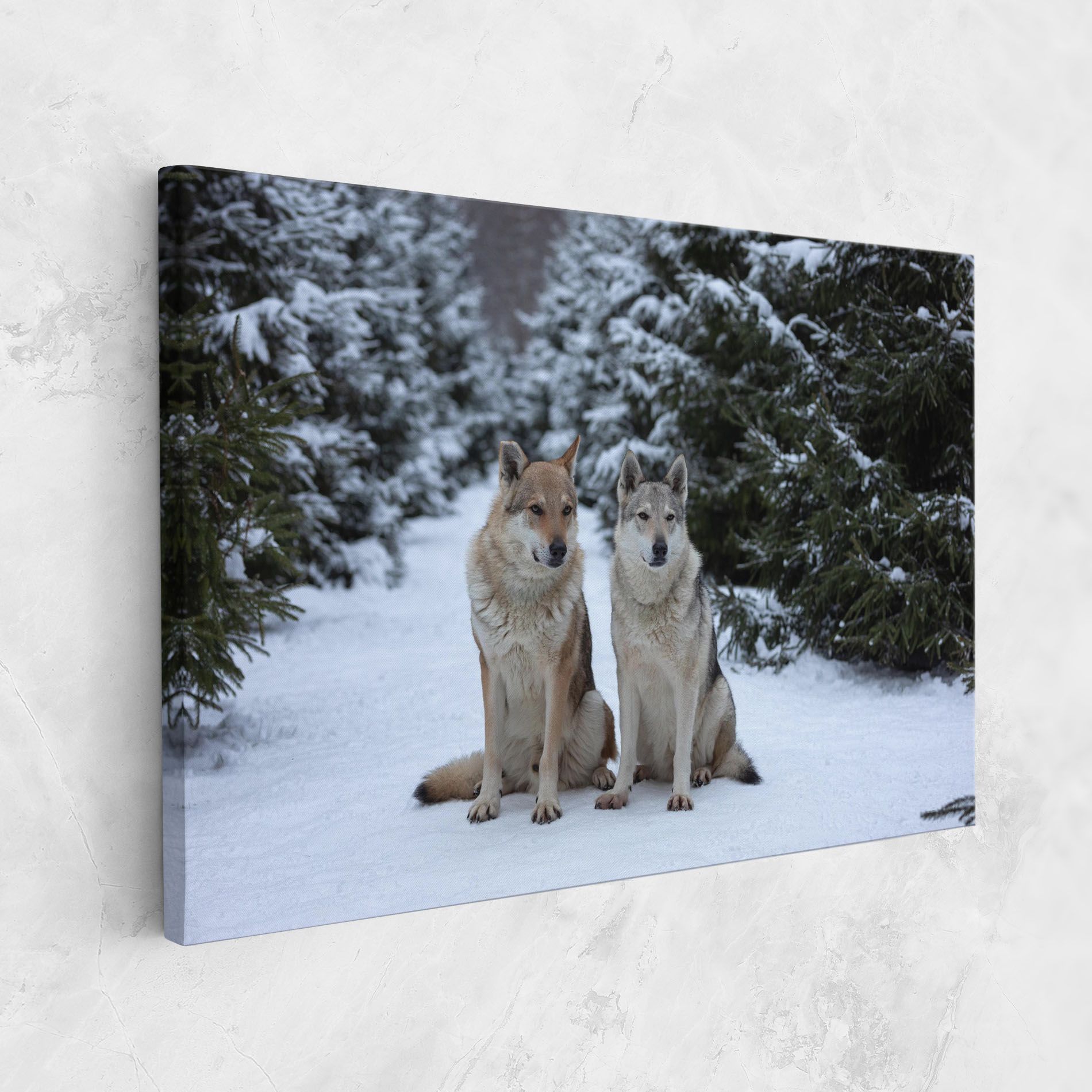 2 Wolfs Sitting mockup 1